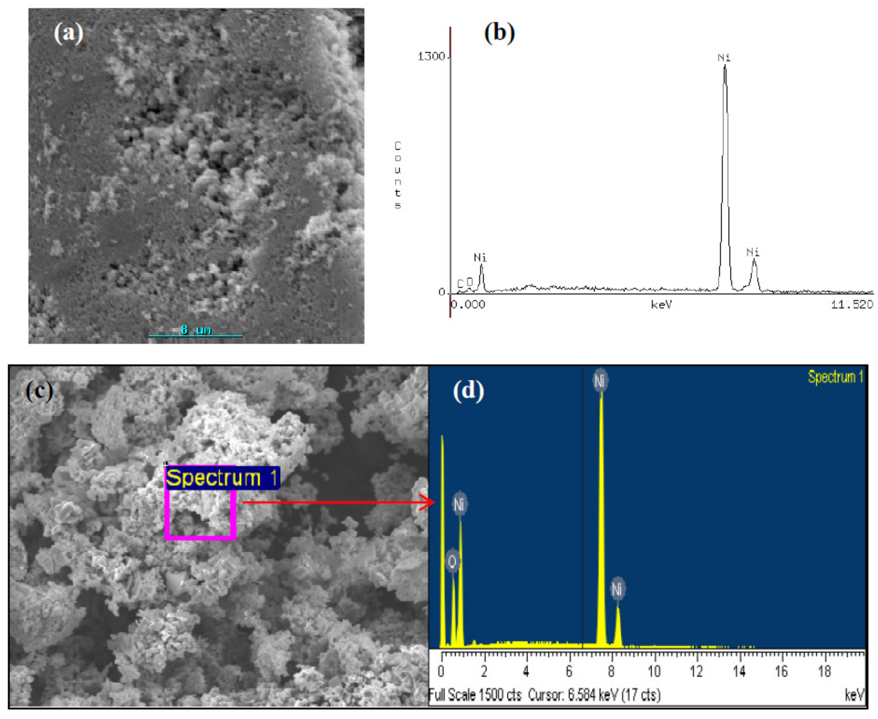 Ijms 23 01093 g008 550