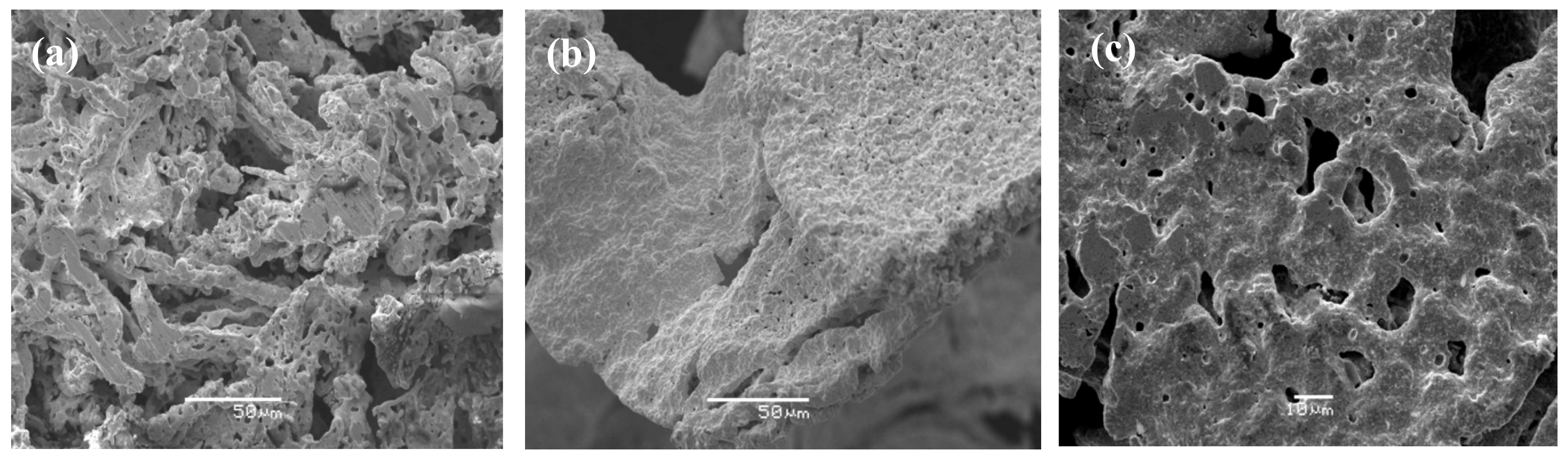 Ijms 23 01093 g010 550