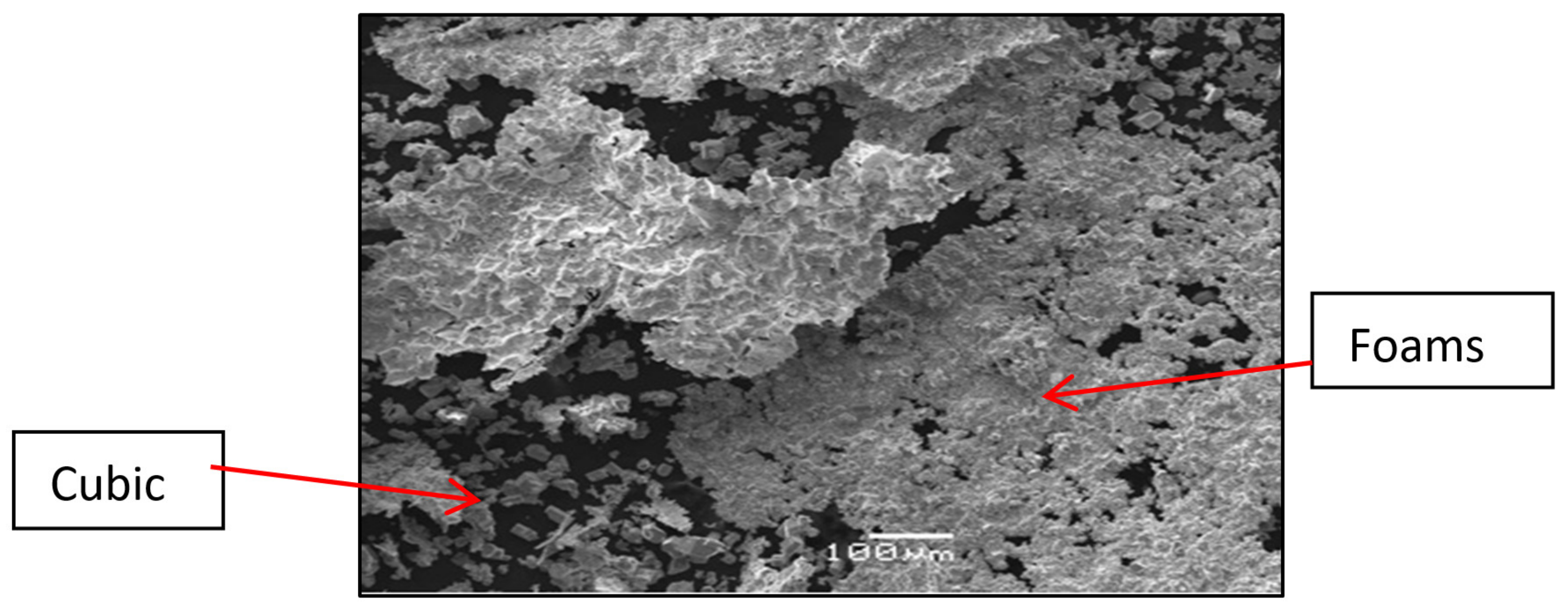 Ijms 23 01093 g012 550