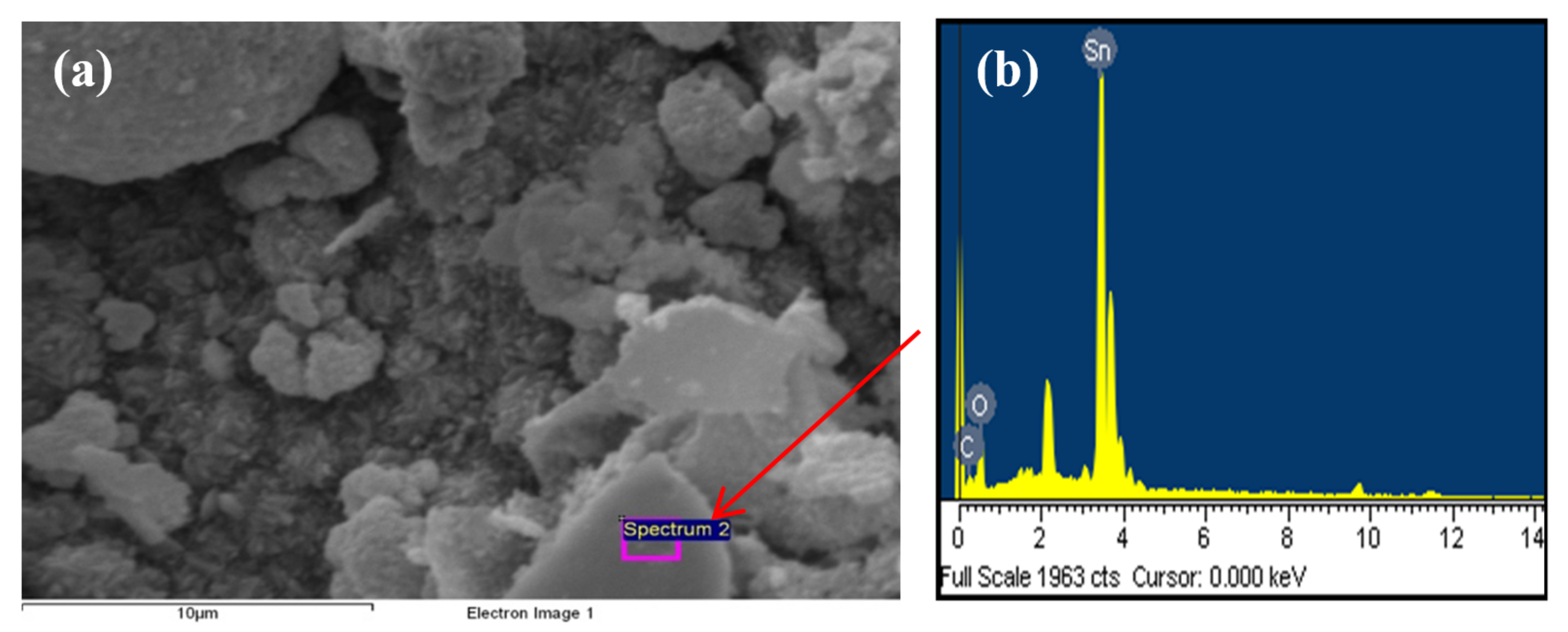 Ijms 23 01093 g013 550
