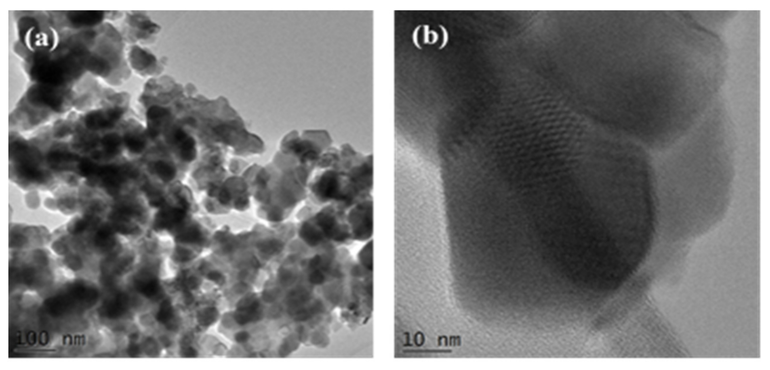 Ijms 23 01093 g014 550