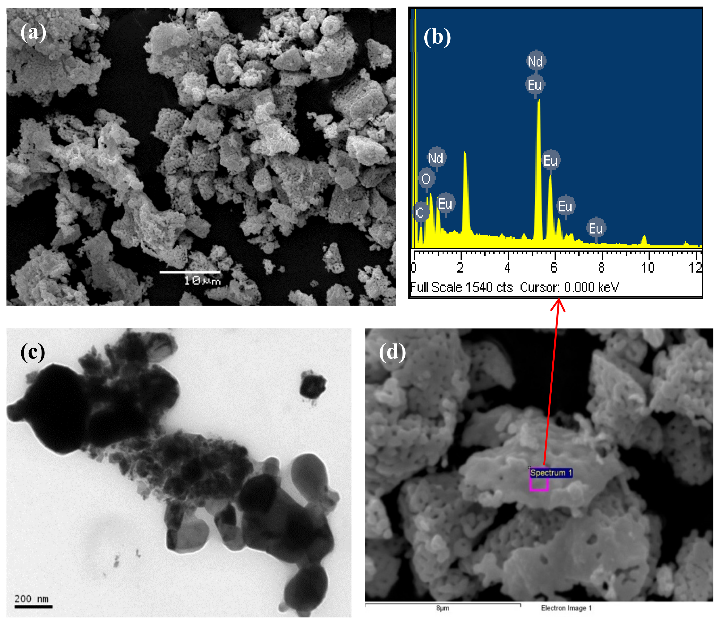 Ijms 23 01093 g015 550