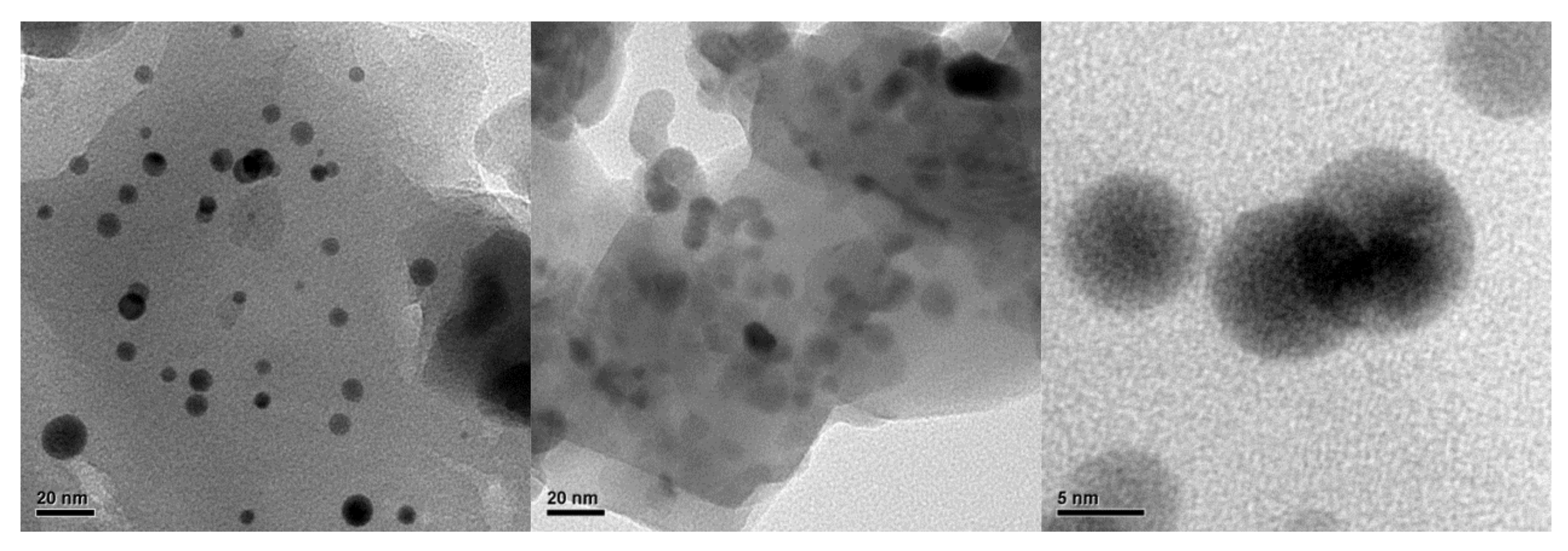 Ijms 23 01093 g016 550