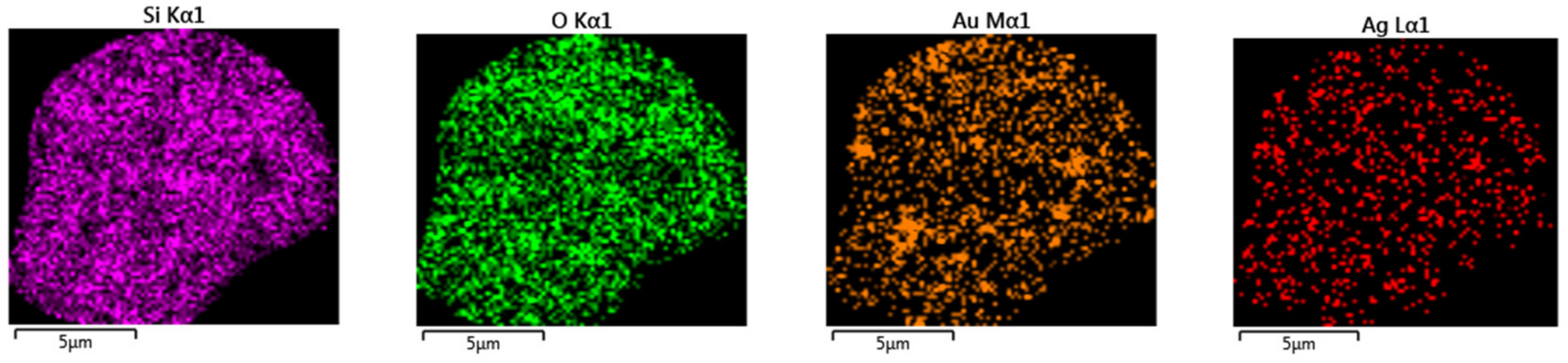 Ijms 23 01093 g018 550