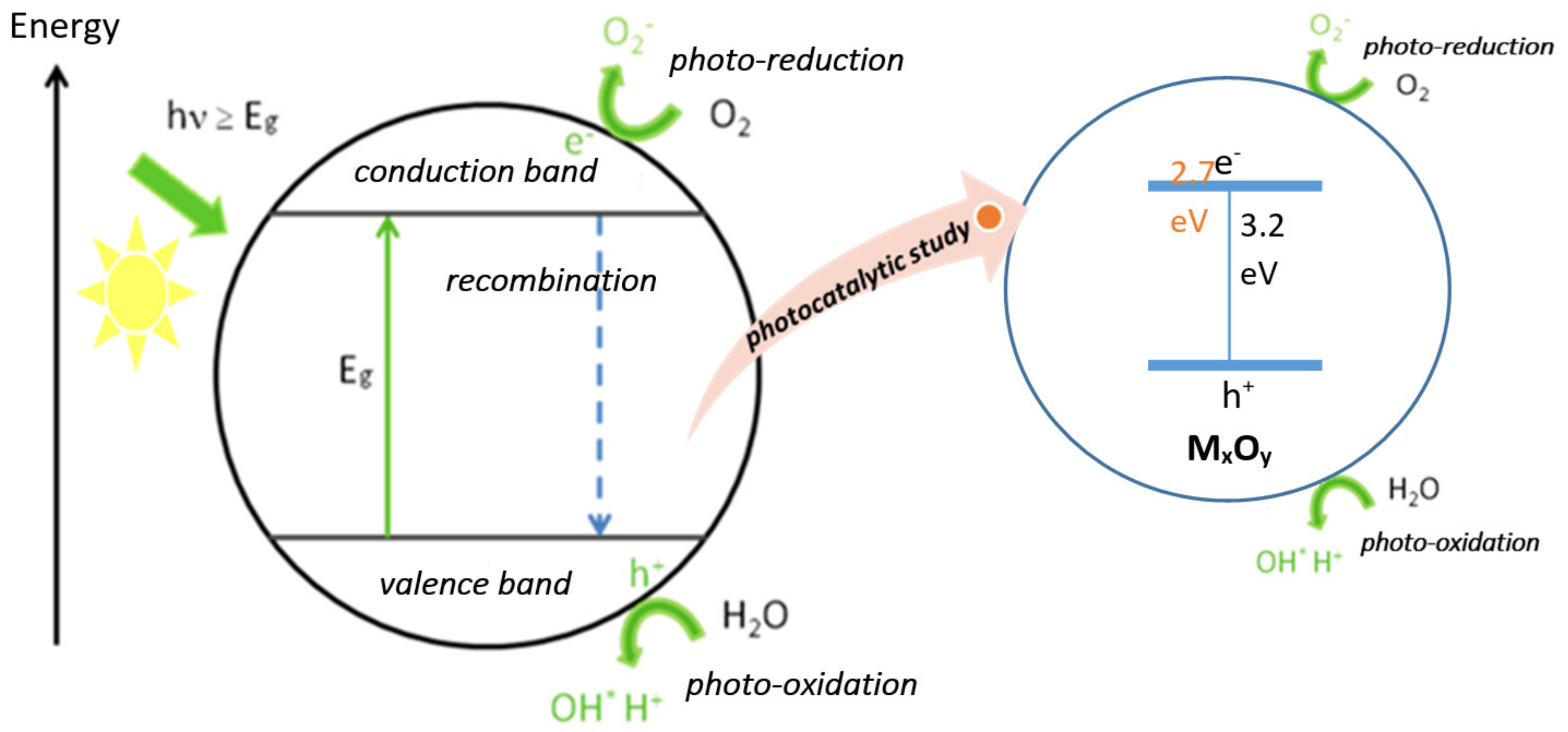 Ijms 23 01093 g019 550