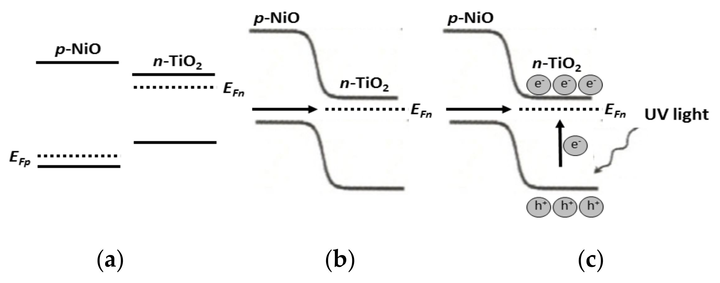 Ijms 23 01093 g022 550