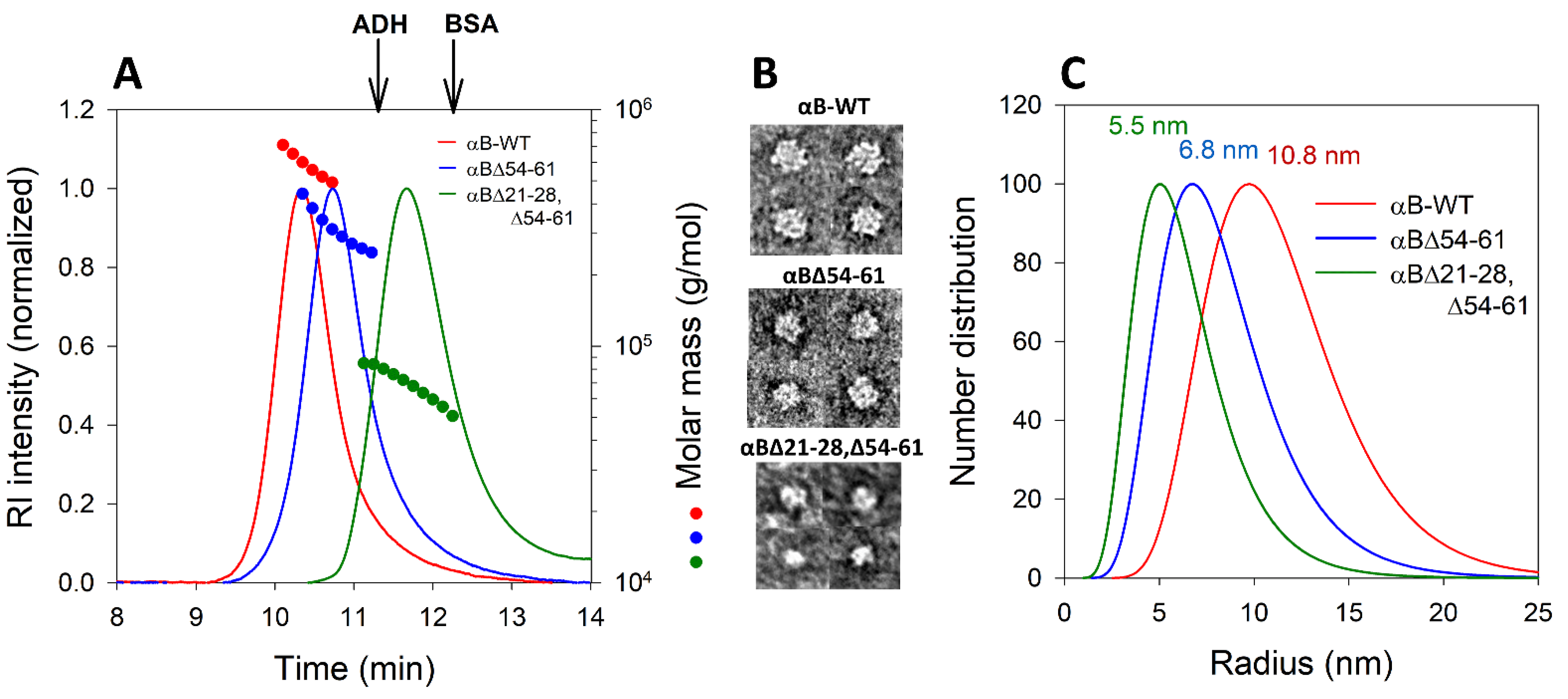 Ijms 23 01099 g003 Ijms 23 01099 g003