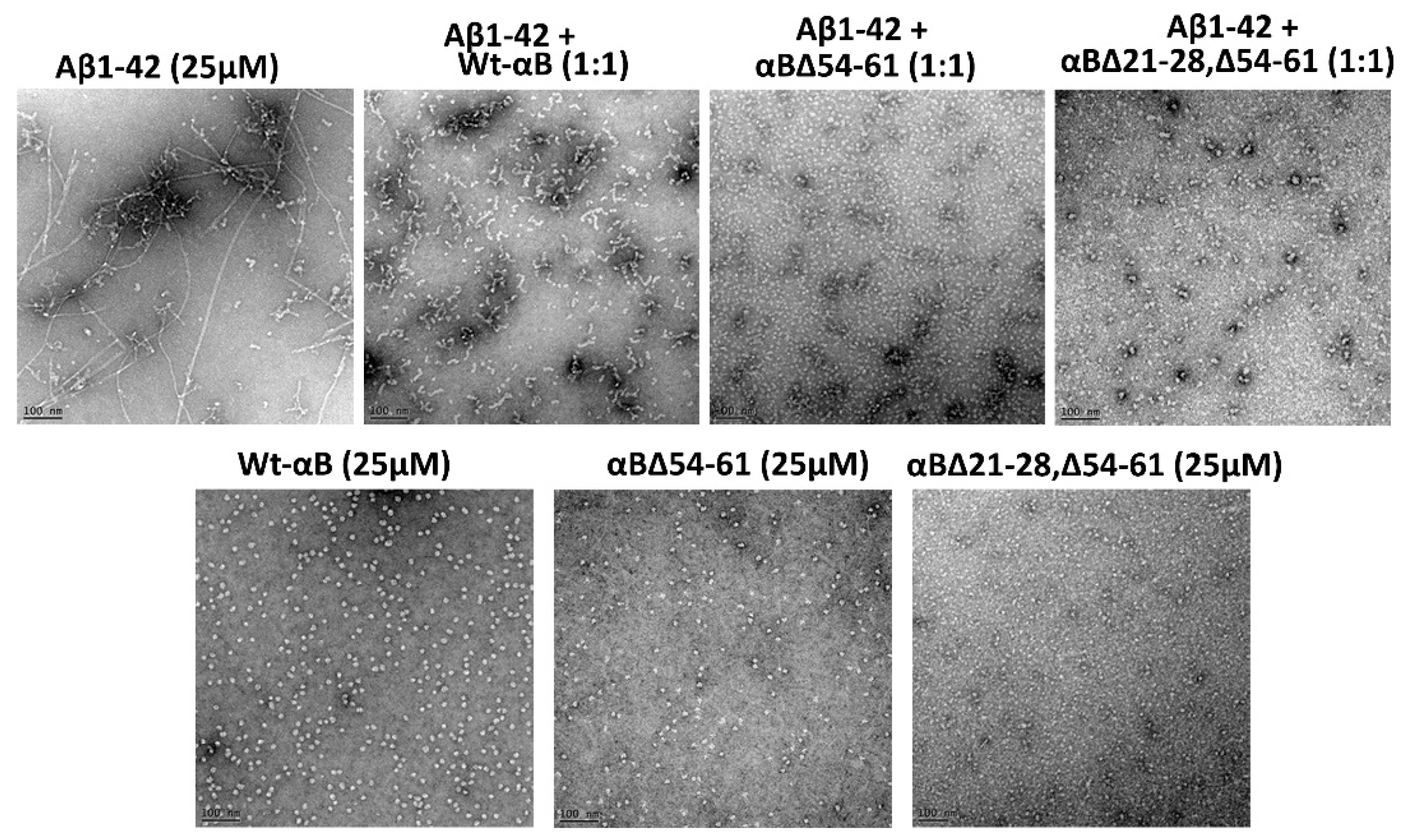 Ijms 23 01099 g006 Ijms 23 01099 g006