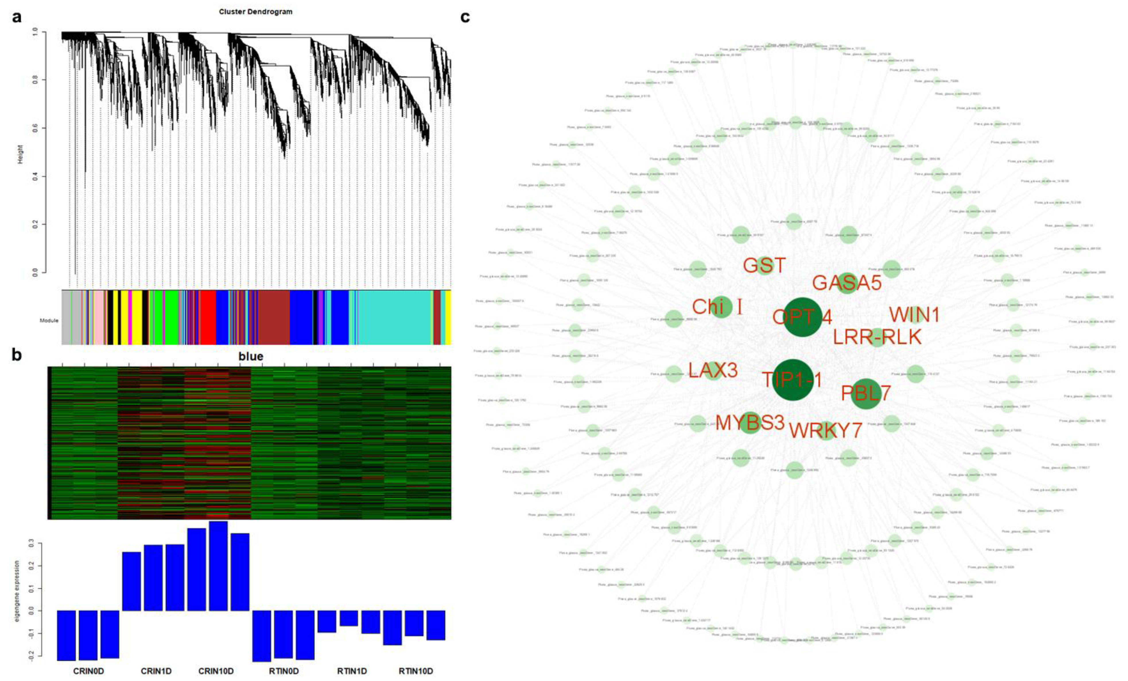 Ijms 23 01111 g006 550