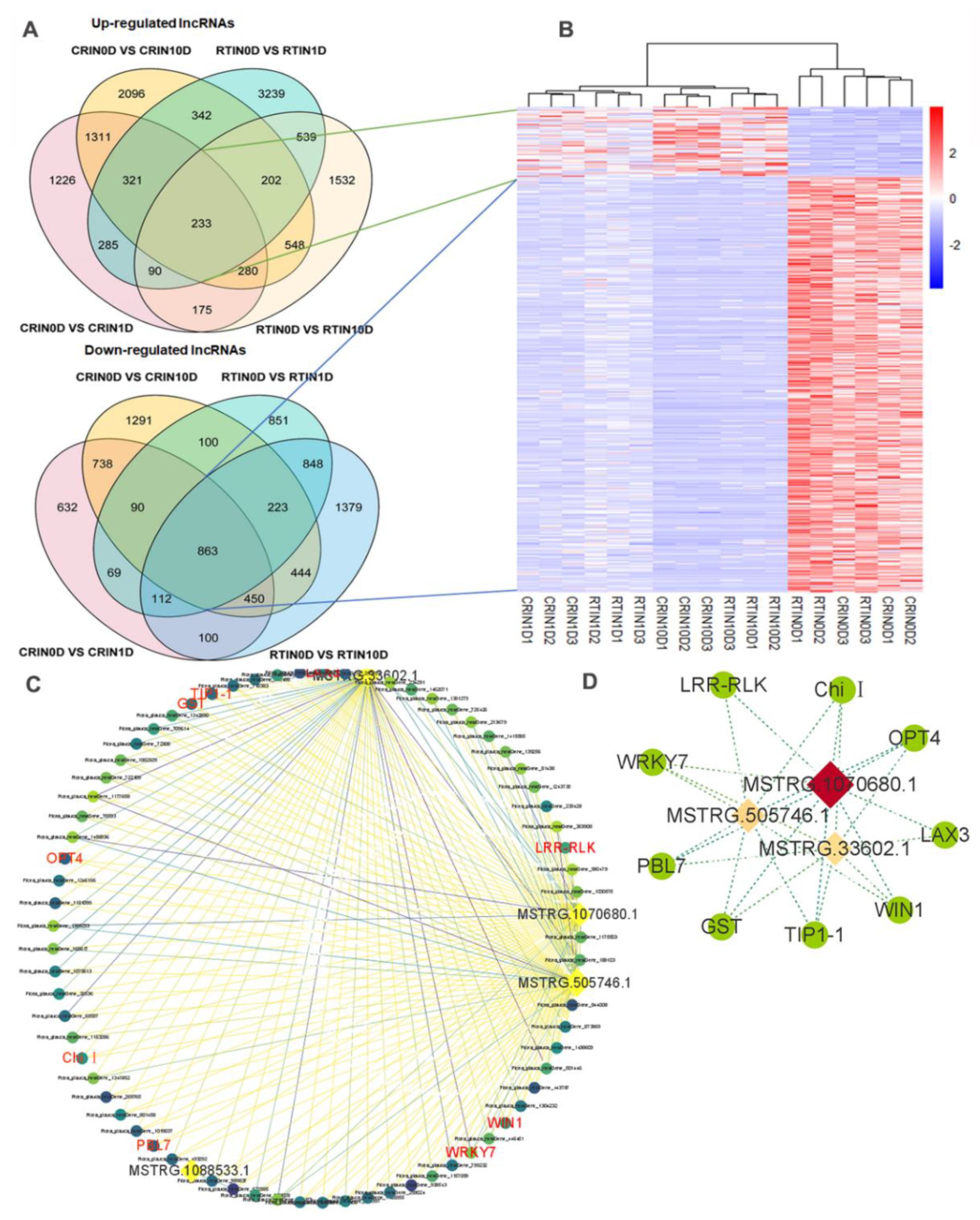 Ijms 23 01111 g008 550