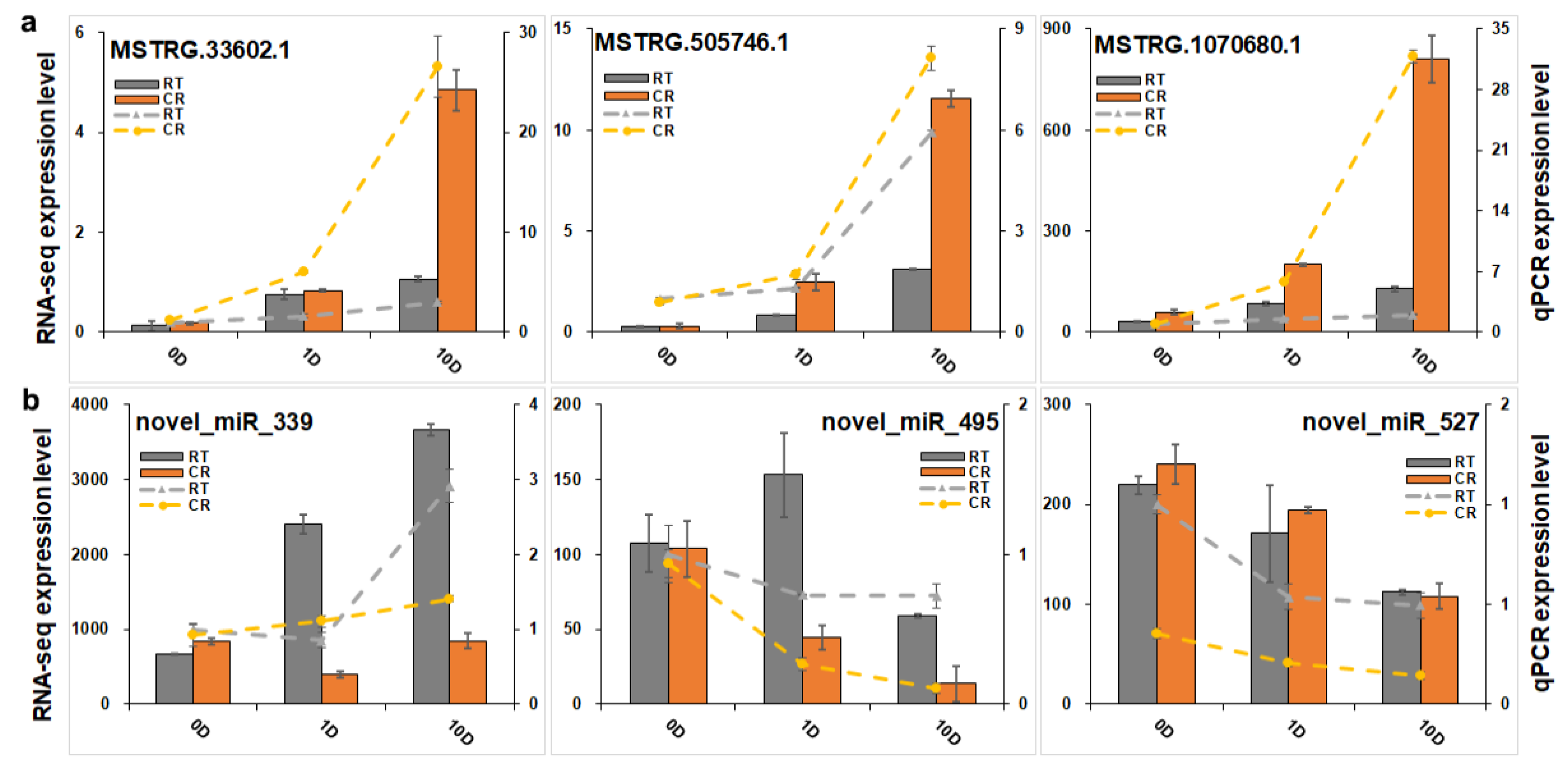 Ijms 23 01111 g009 550
