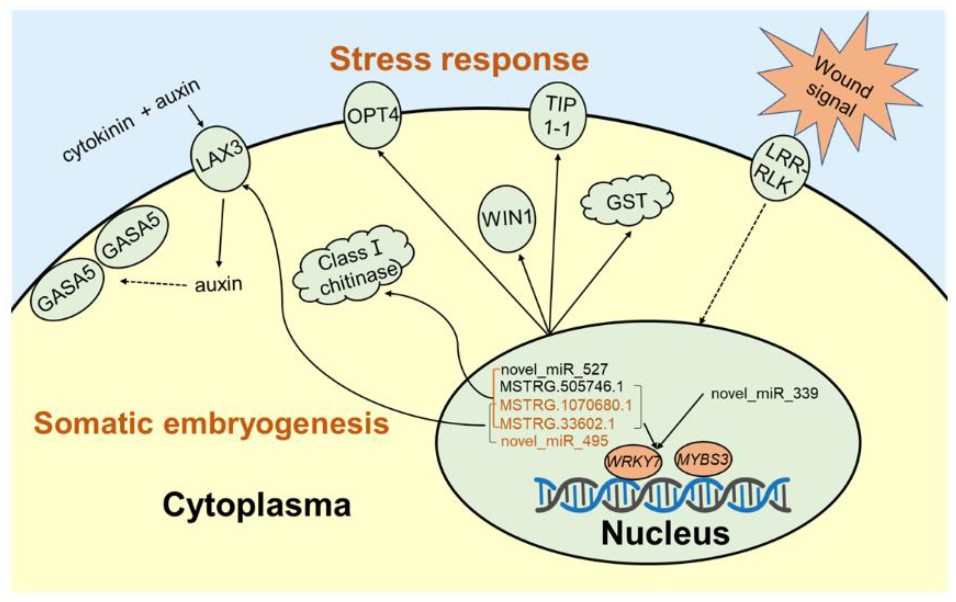 Ijms 23 01111 g011 550