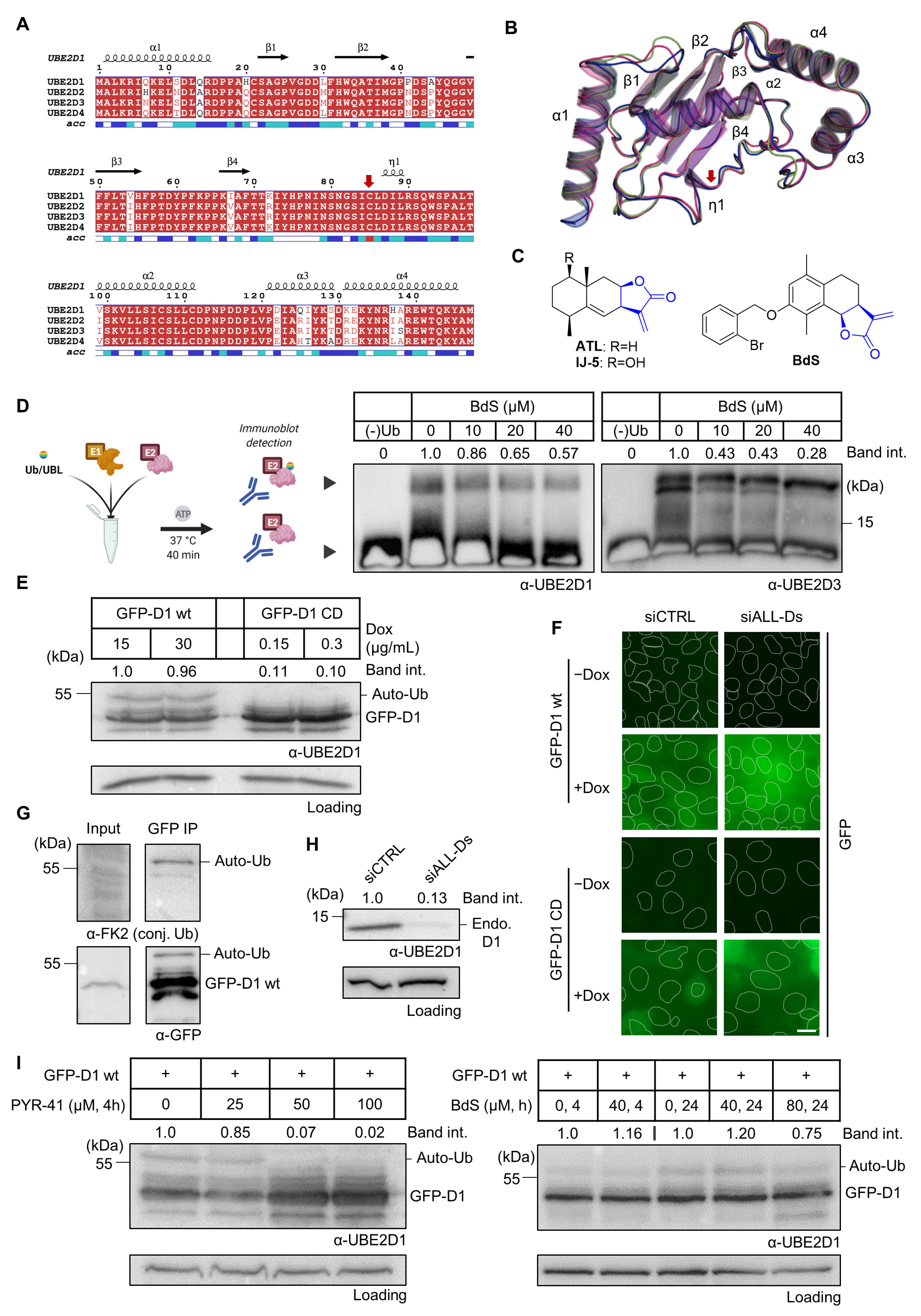 Ijms 23 01116 g001 550
