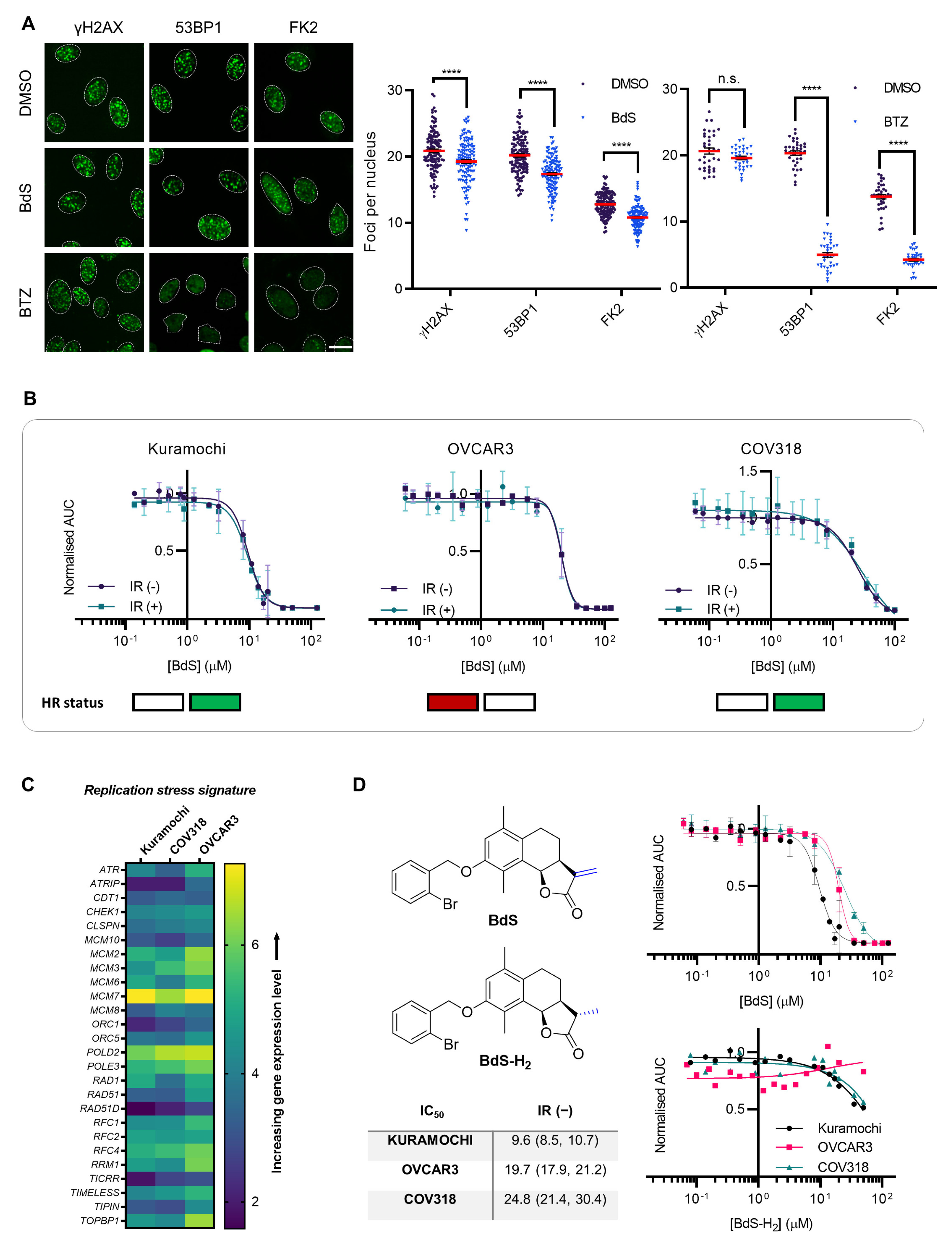 Ijms 23 01116 g002 550