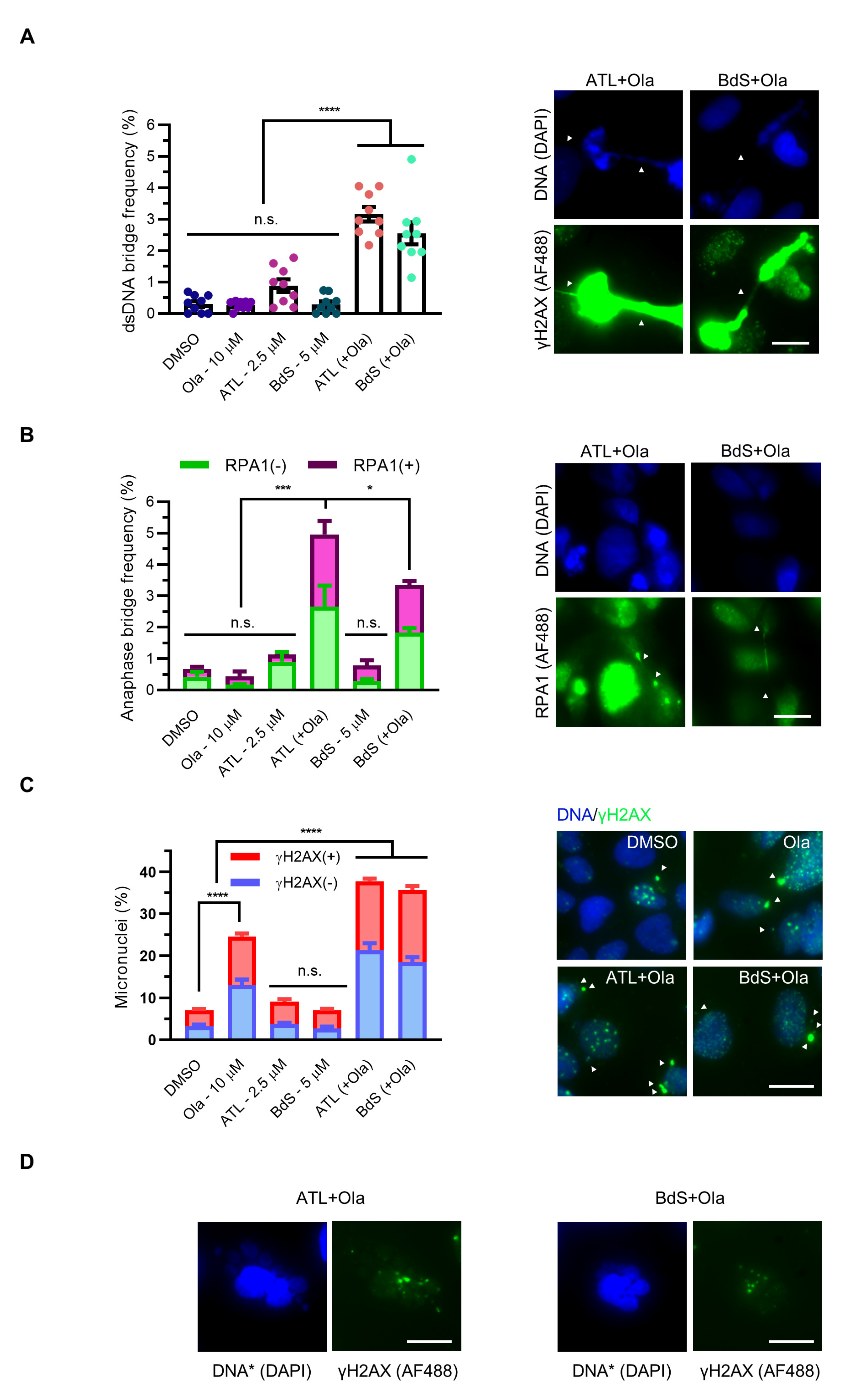 Ijms 23 01116 g005 550