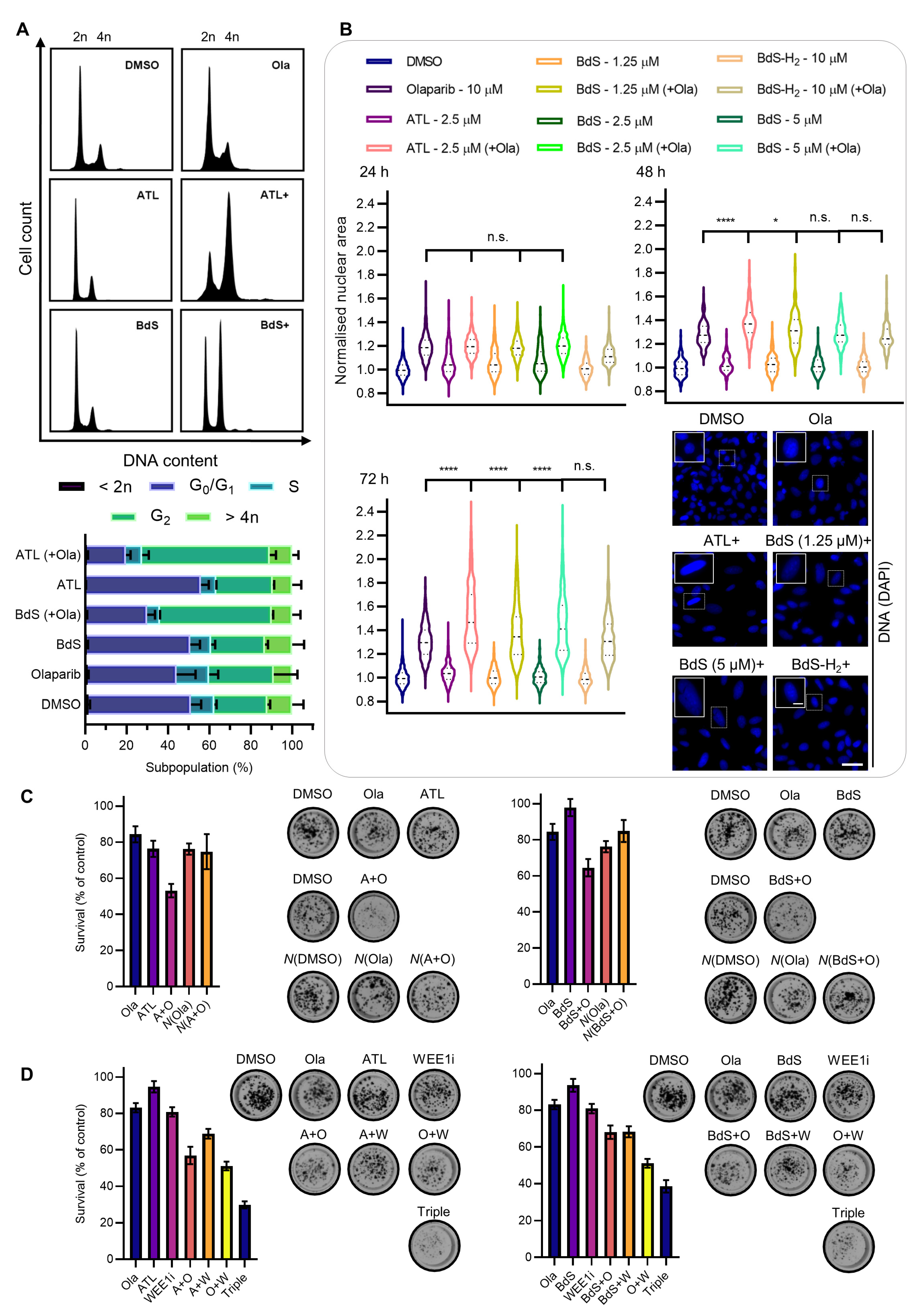 Ijms 23 01116 g006 550