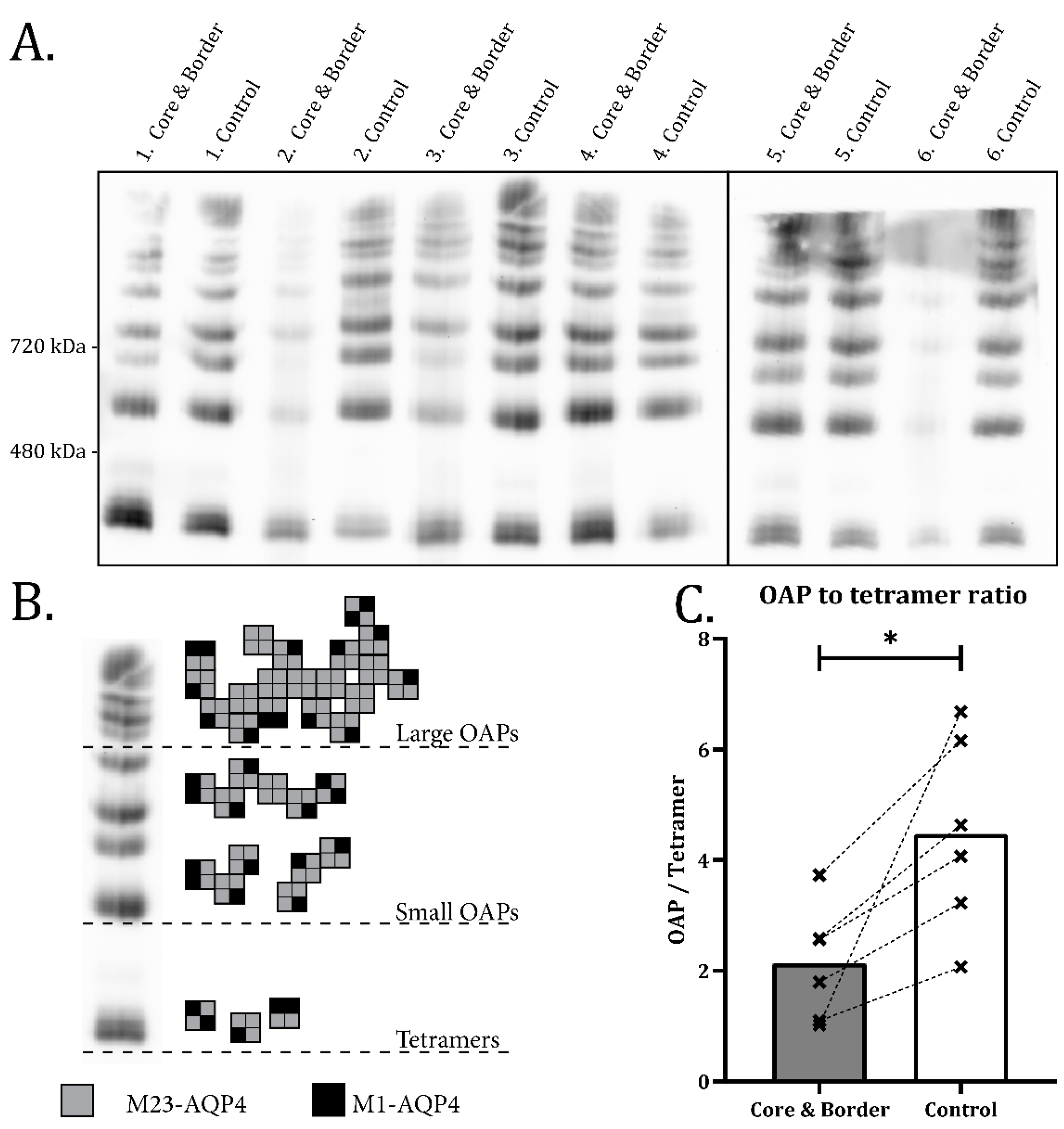 Ijms 23 01117 g003 550