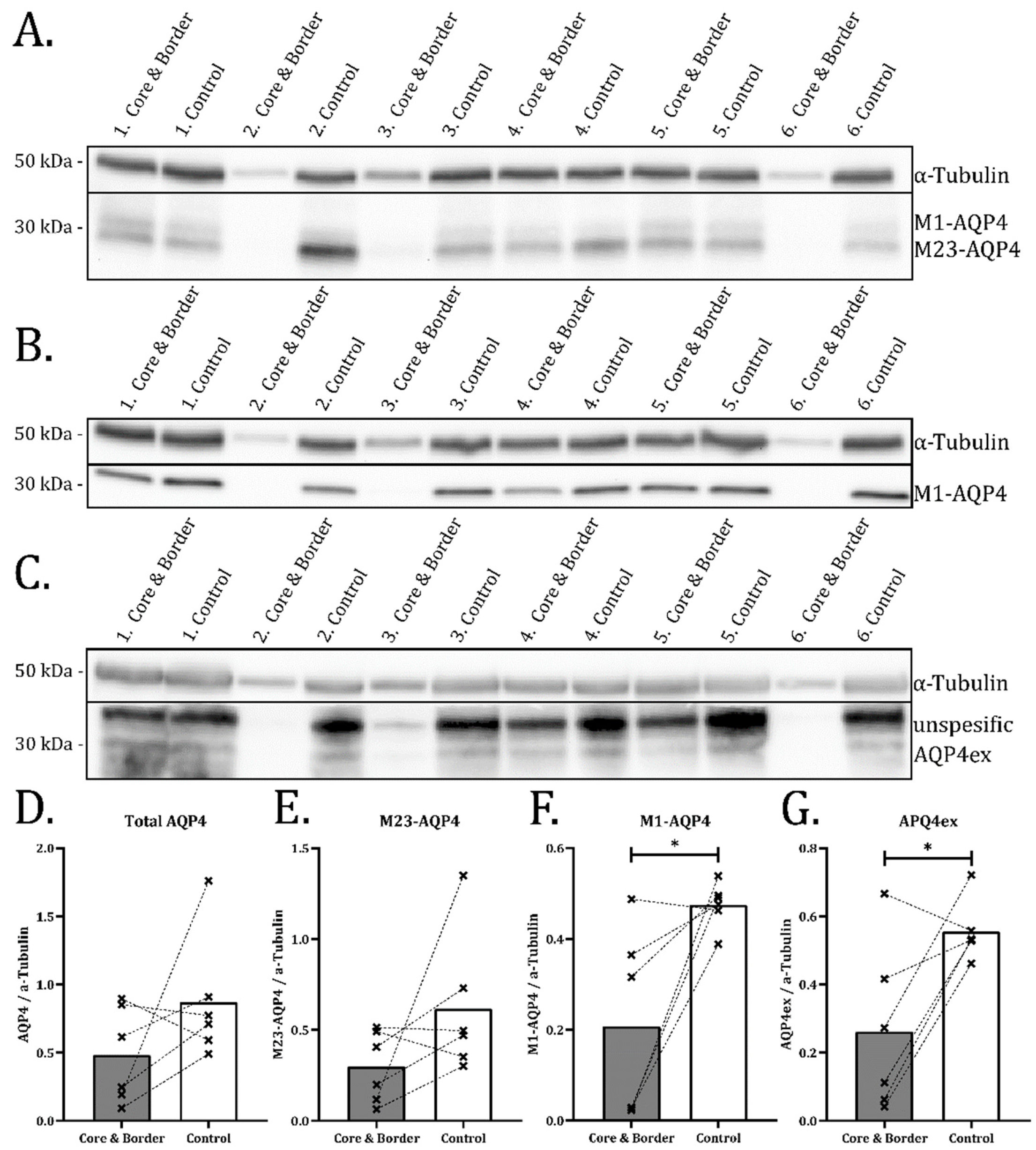 Ijms 23 01117 g005 550