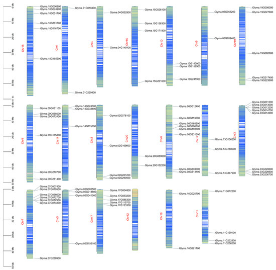 Genome-Wide Identification and Characterization of the
