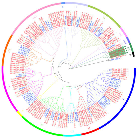 Genome-Wide Identification and Characterization of the
