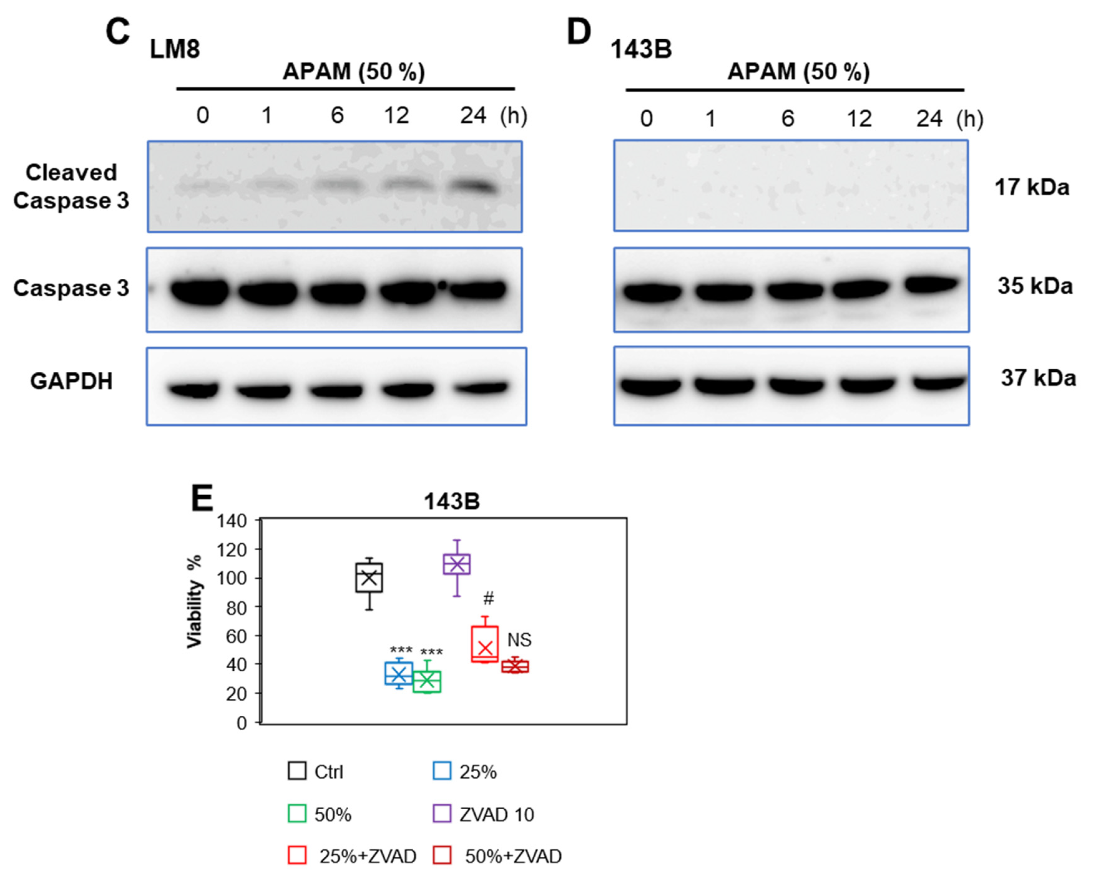 Ijms 23 01124 g002b 550