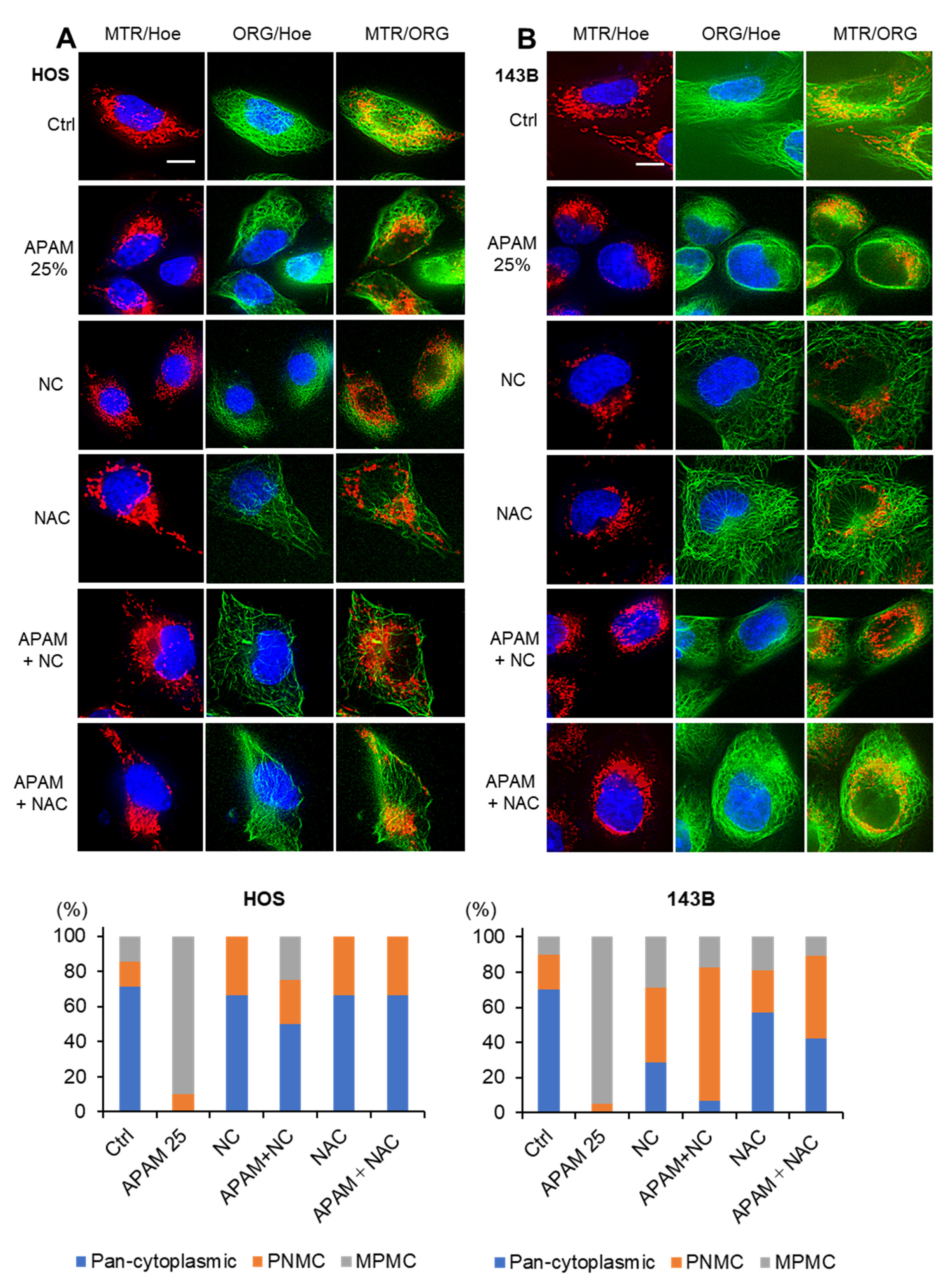 Ijms 23 01124 g005 550