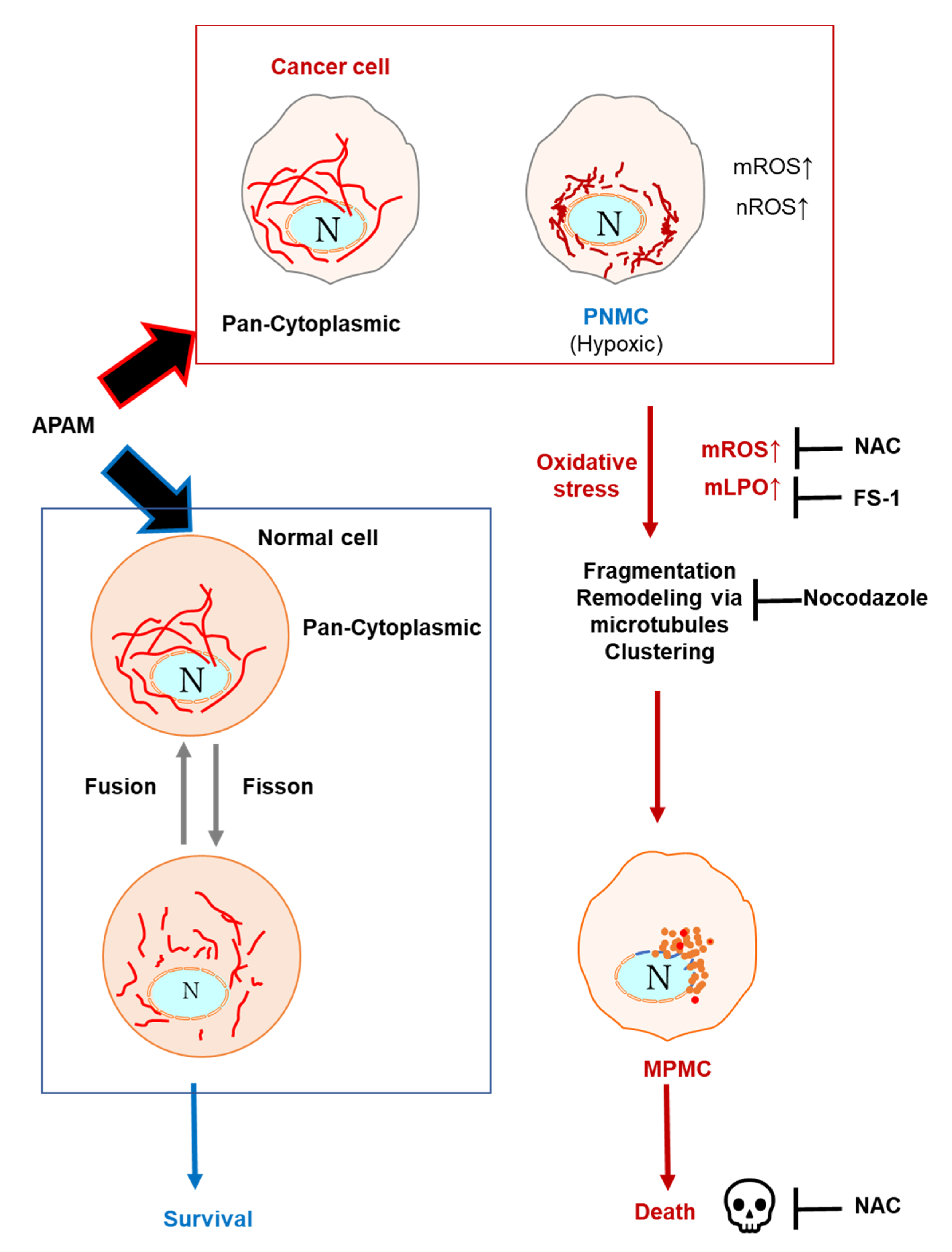Ijms 23 01124 g009 550