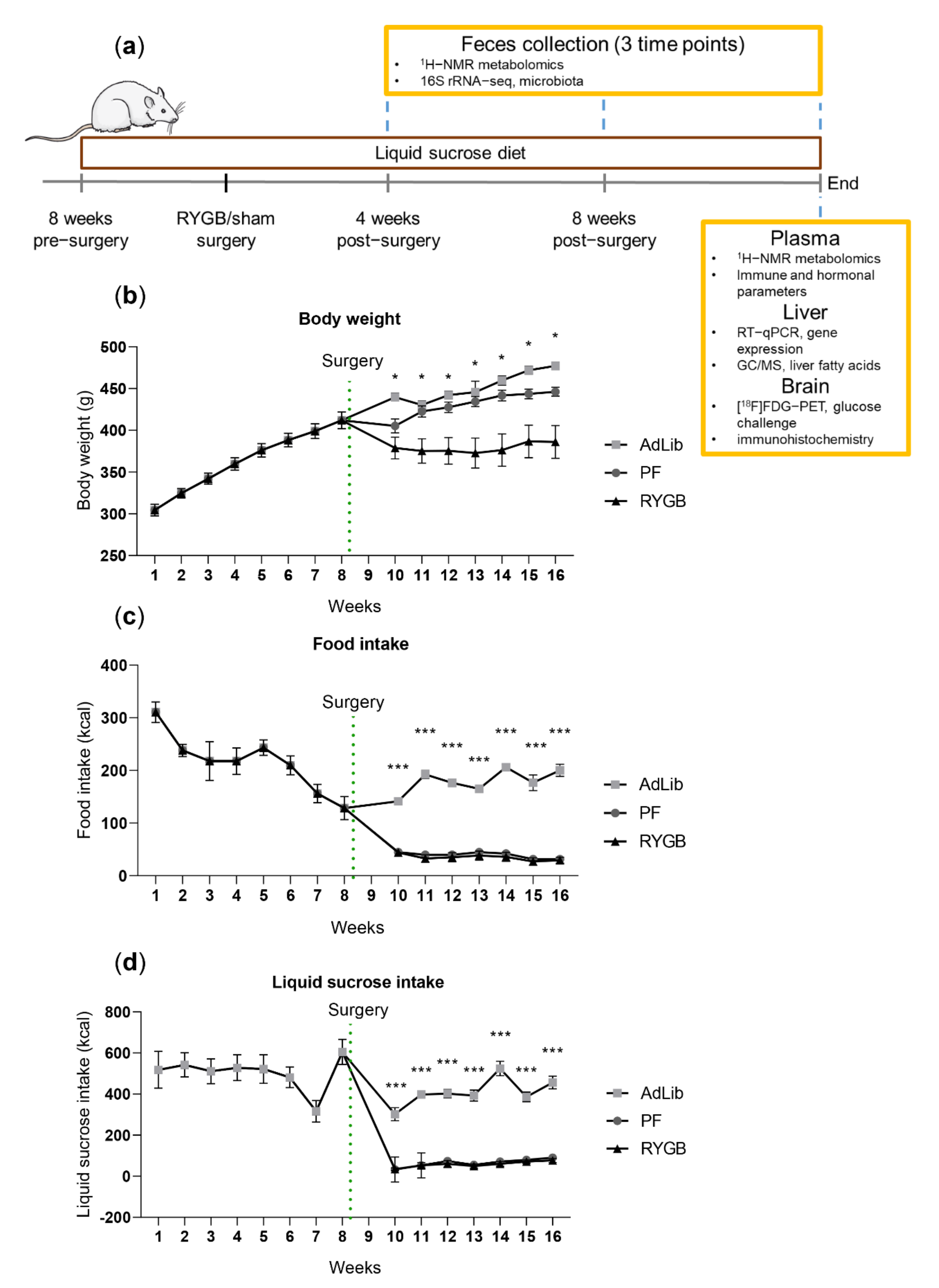 Ijms 23 01126 g001 Ijms 23 01126 g001