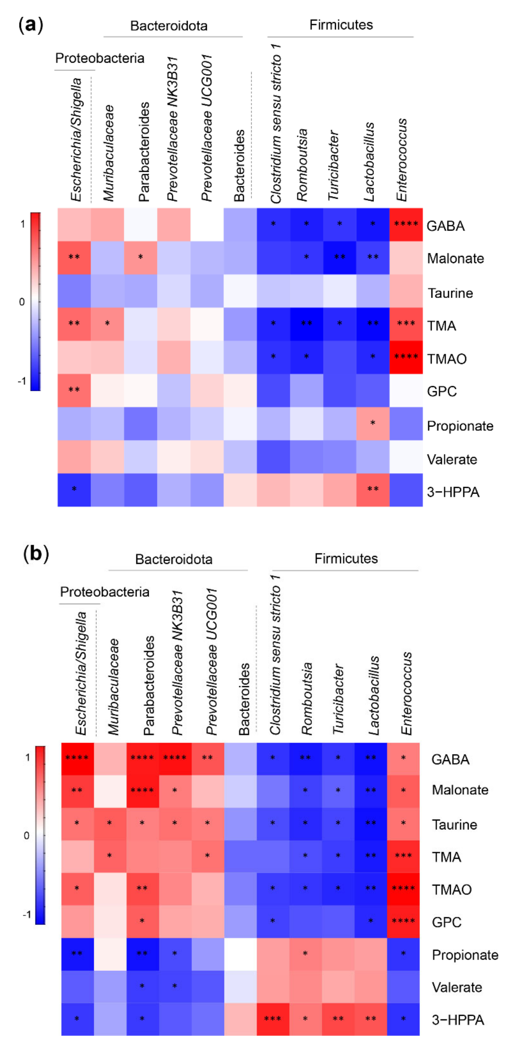 Ijms 23 01126 g004 Ijms 23 01126 g004