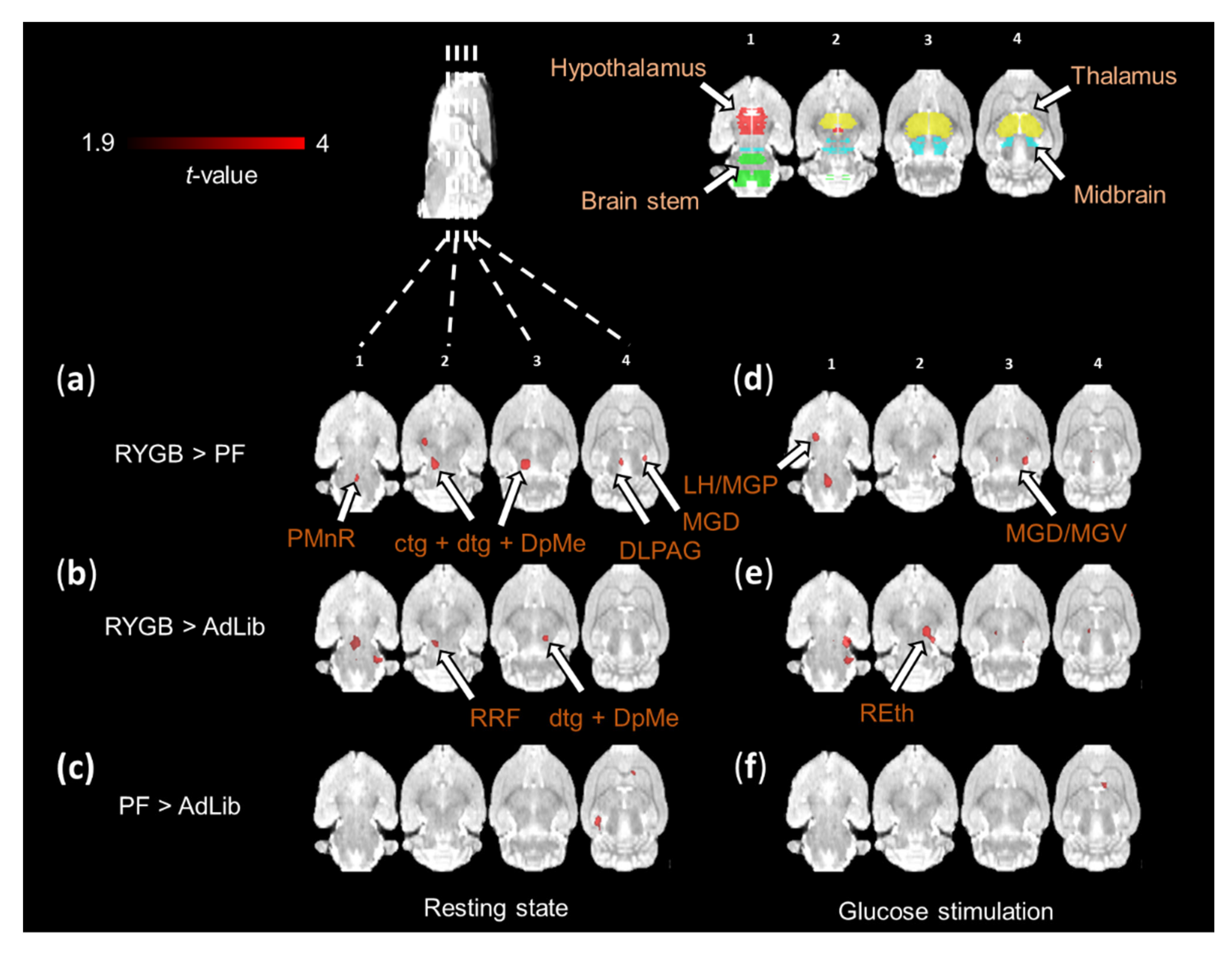 Ijms 23 01126 g009 Ijms 23 01126 g009