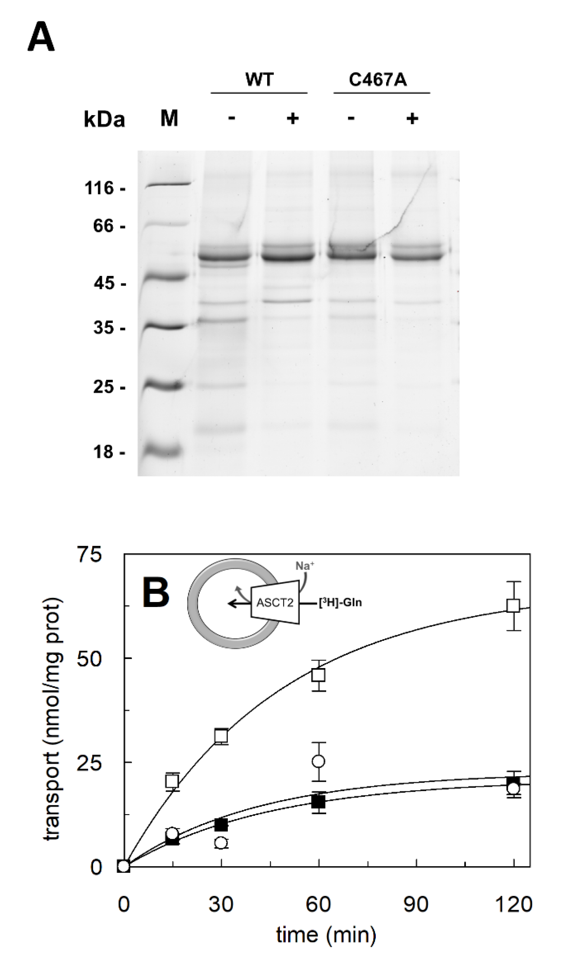Ijms 23 01127 g001a 550