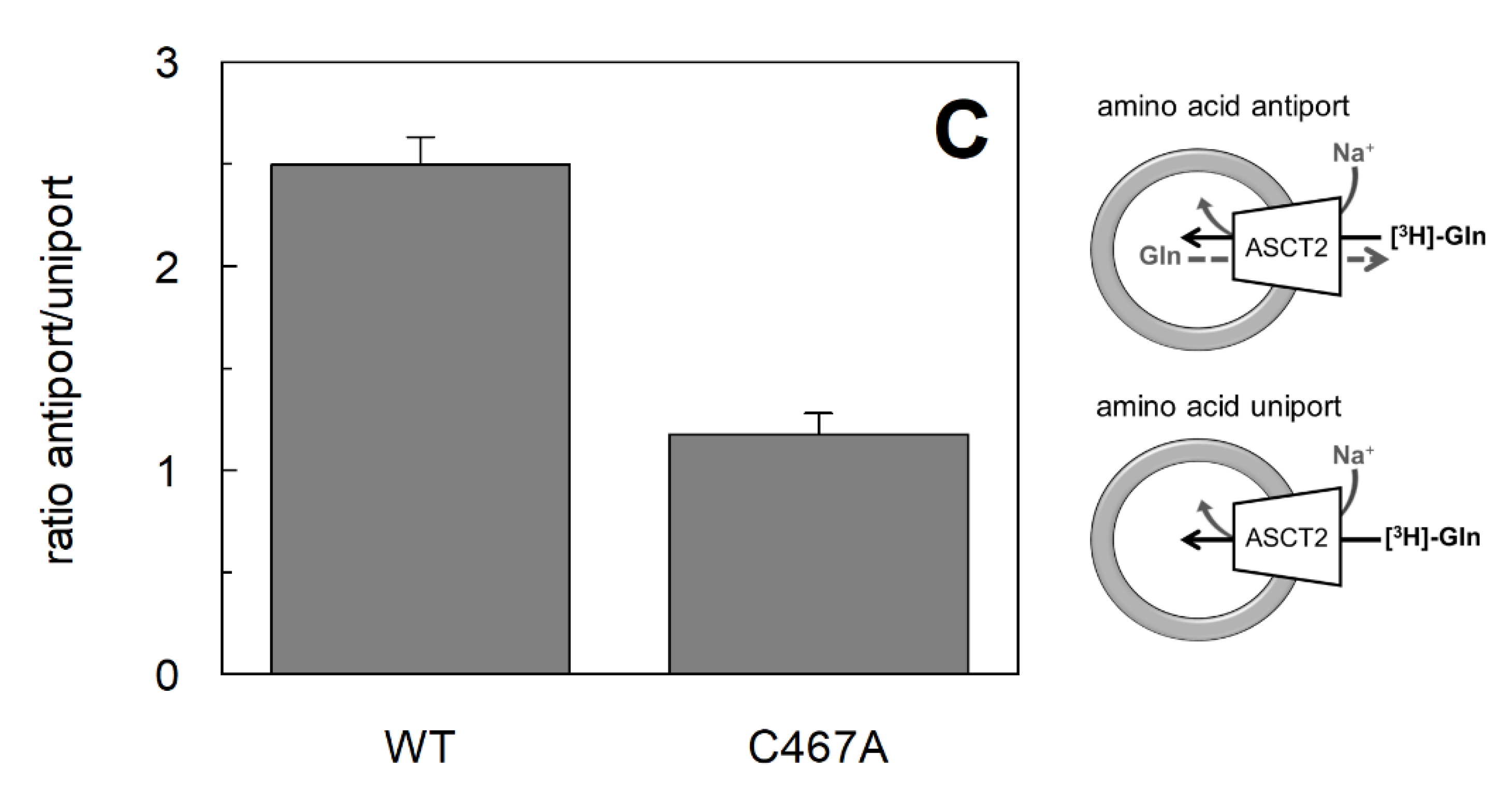 Ijms 23 01127 g001b 550
