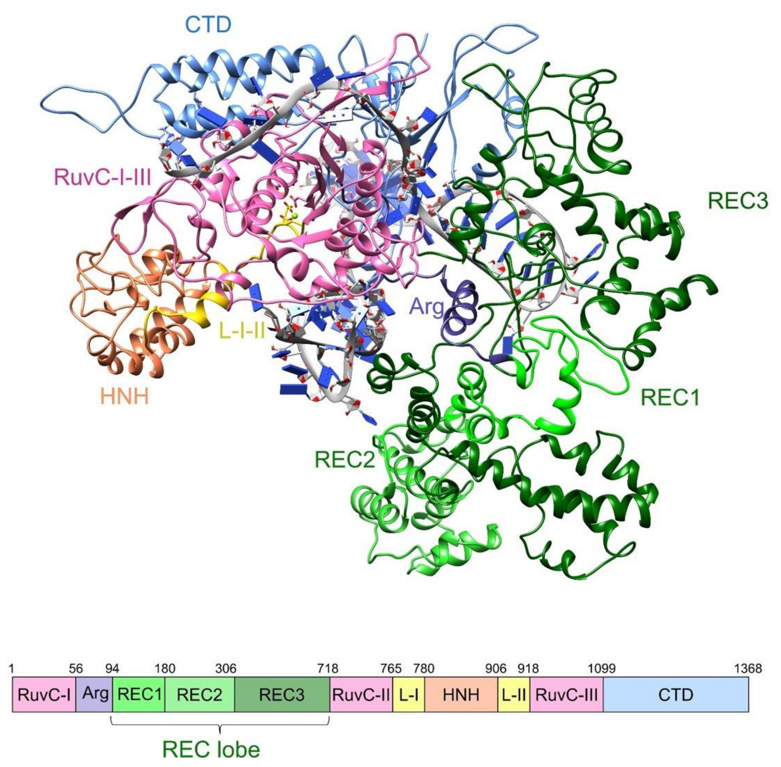 Ijms 23 01129 g001 550