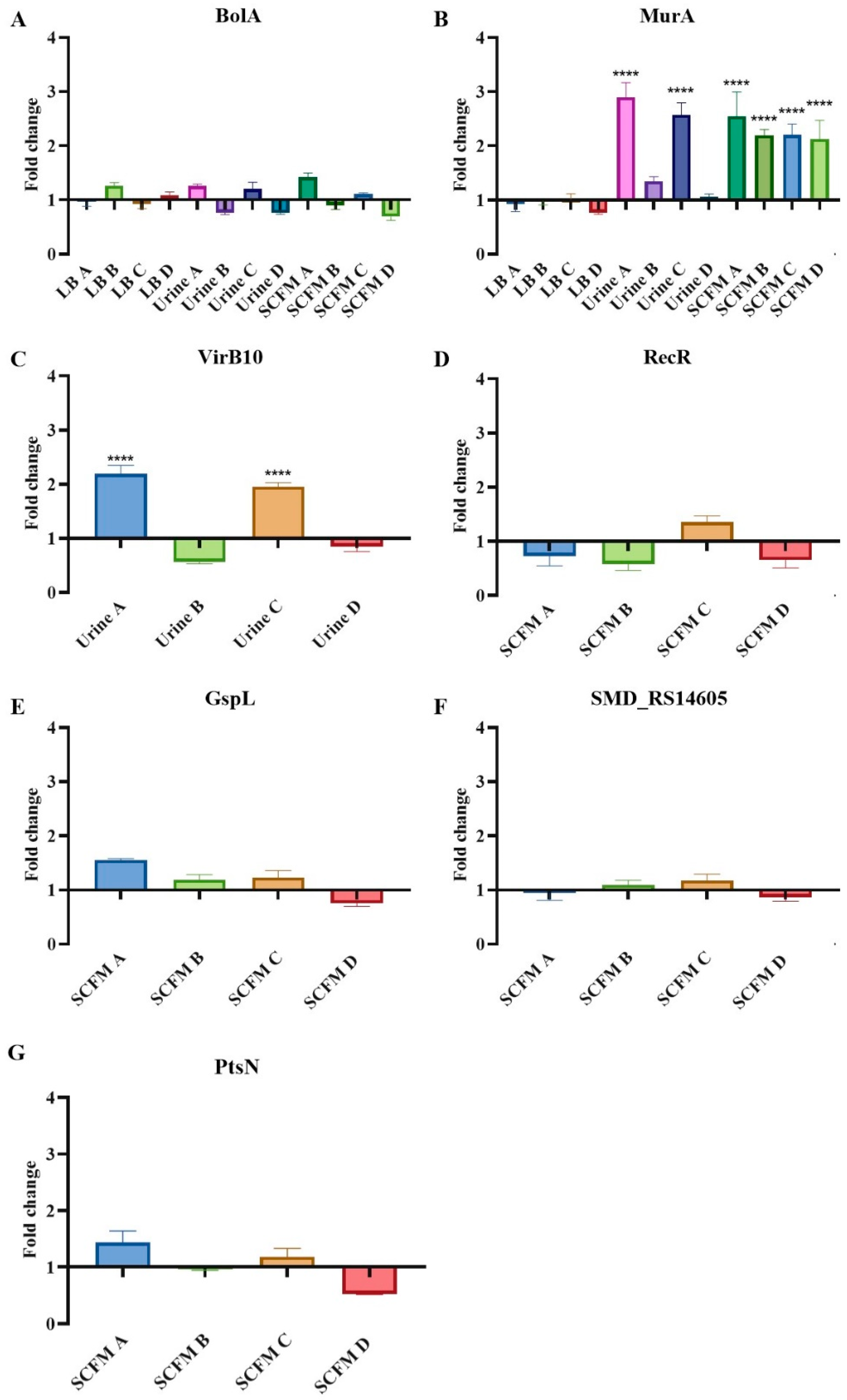 Ijms 23 01132 g003 Ijms 23 01132 g003
