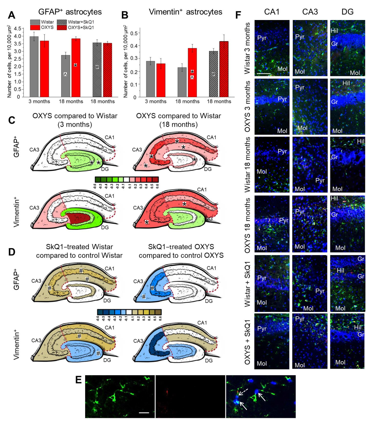 Ijms 23 01134 g002 550