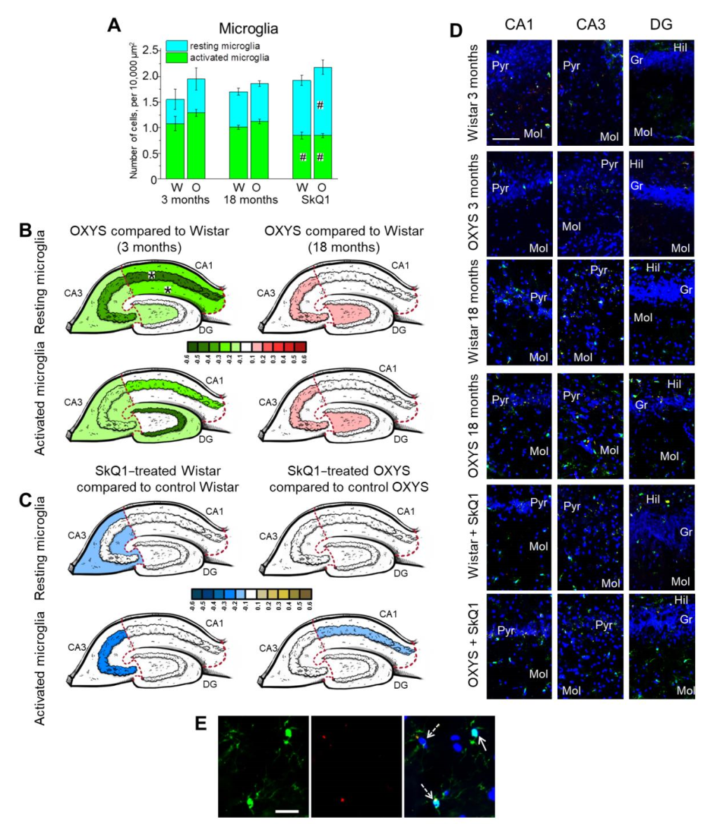 Ijms 23 01134 g004 550