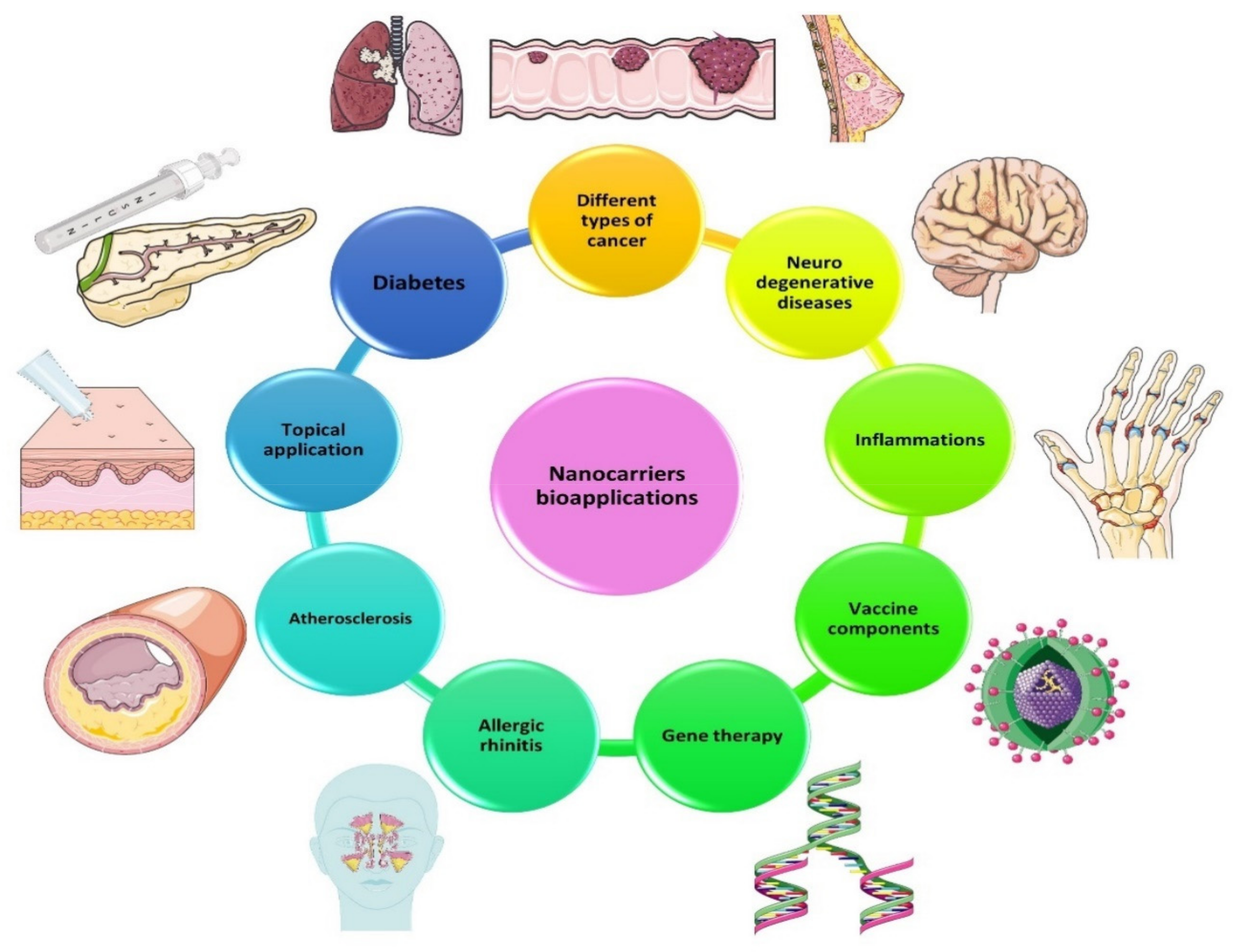 Ijms 23 01140 g003 Ijms 23 01140 g003