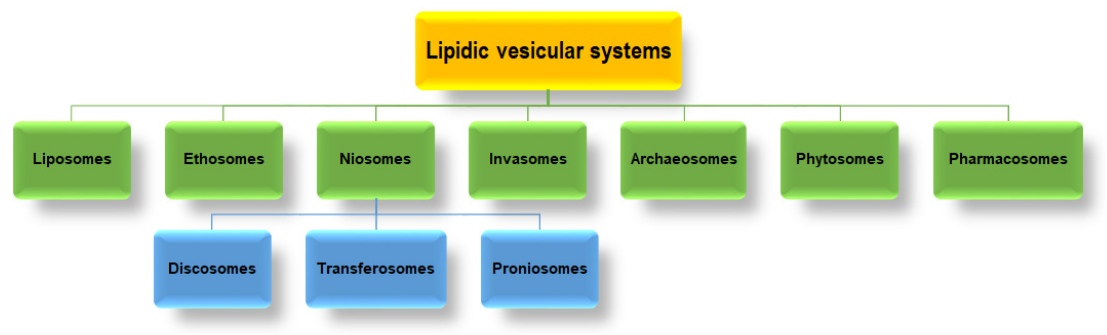 Ijms 23 01140 g004 Ijms 23 01140 g004