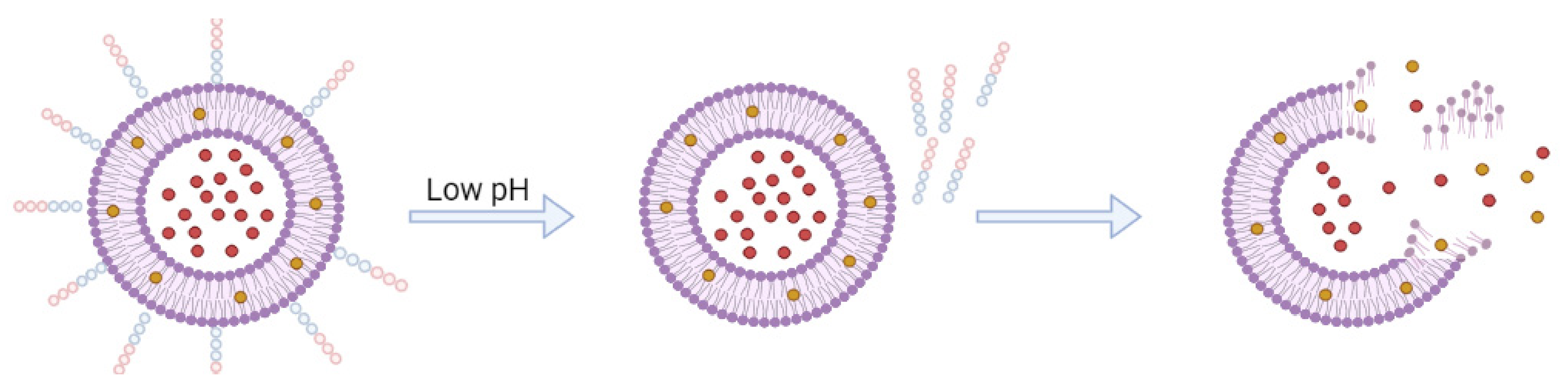 Ijms 23 01140 g013 Ijms 23 01140 g013