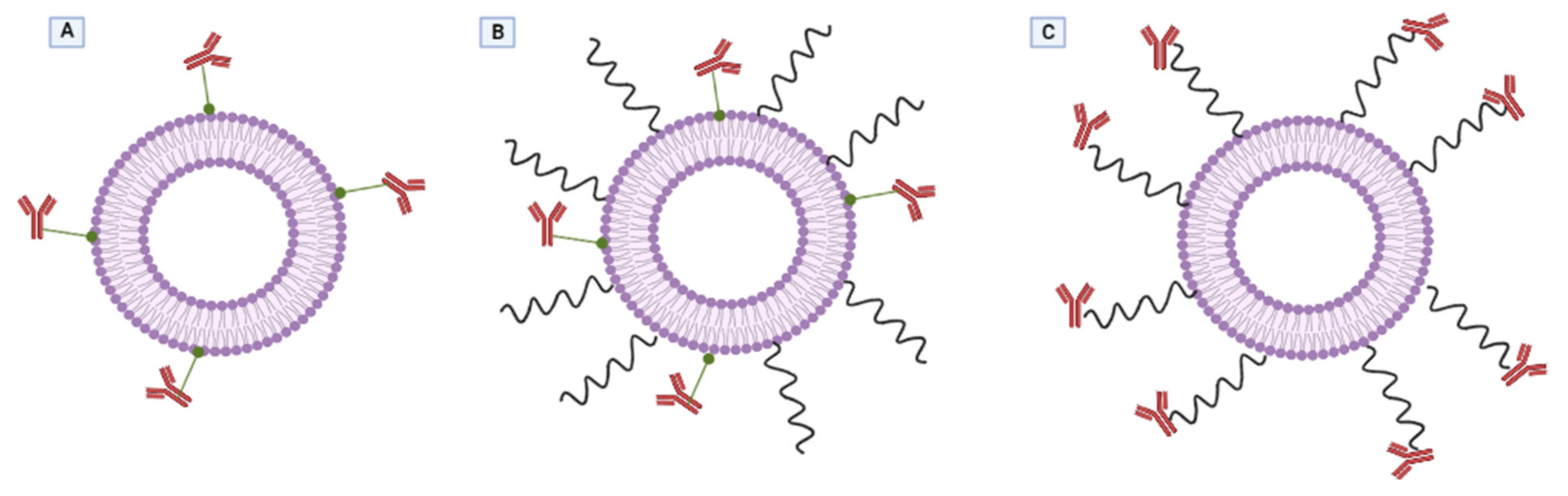 Ijms 23 01140 g014 Ijms 23 01140 g014