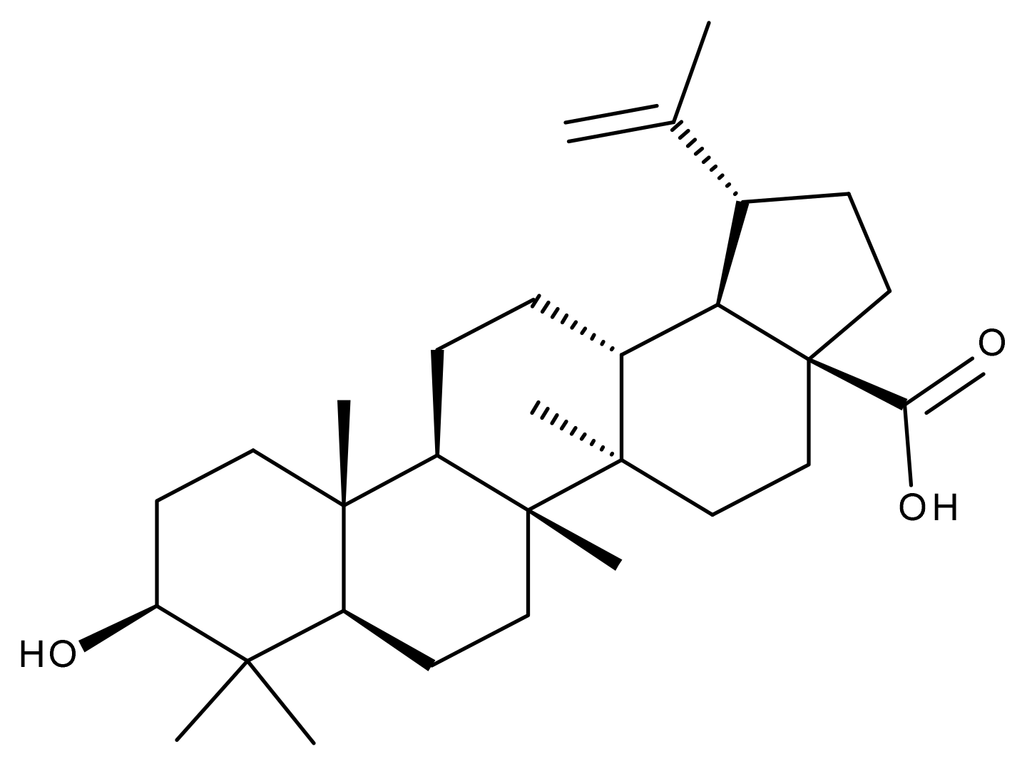 Ijms 23 01140 g016 Ijms 23 01140 g016