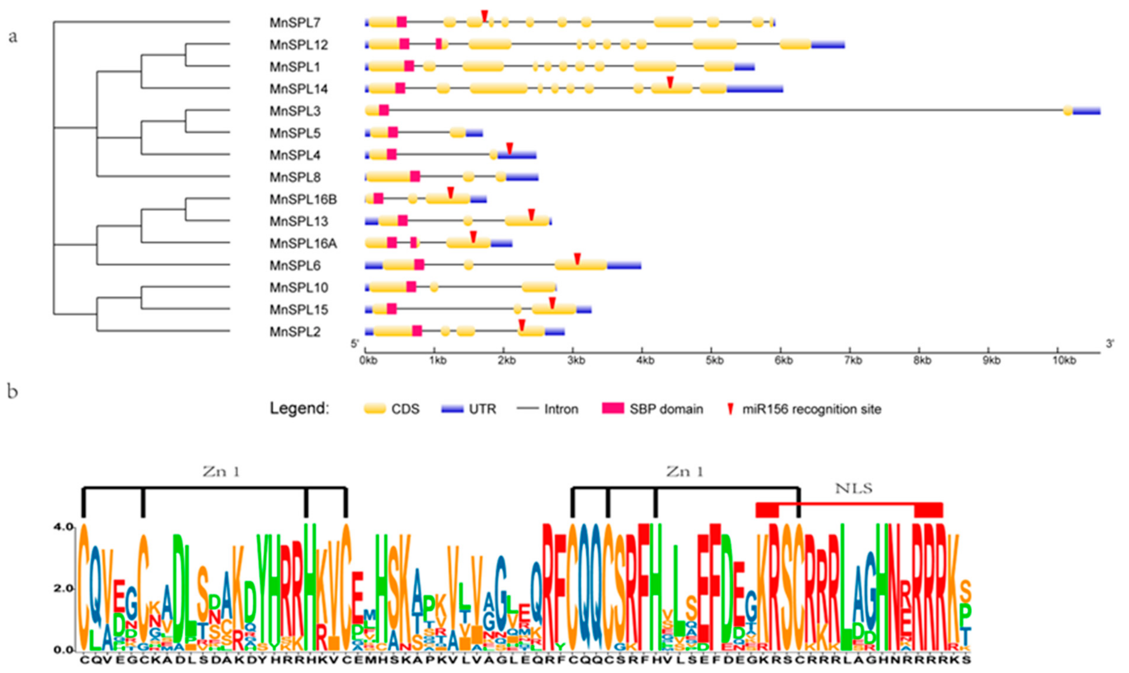 Ijms 23 01141 g003 550