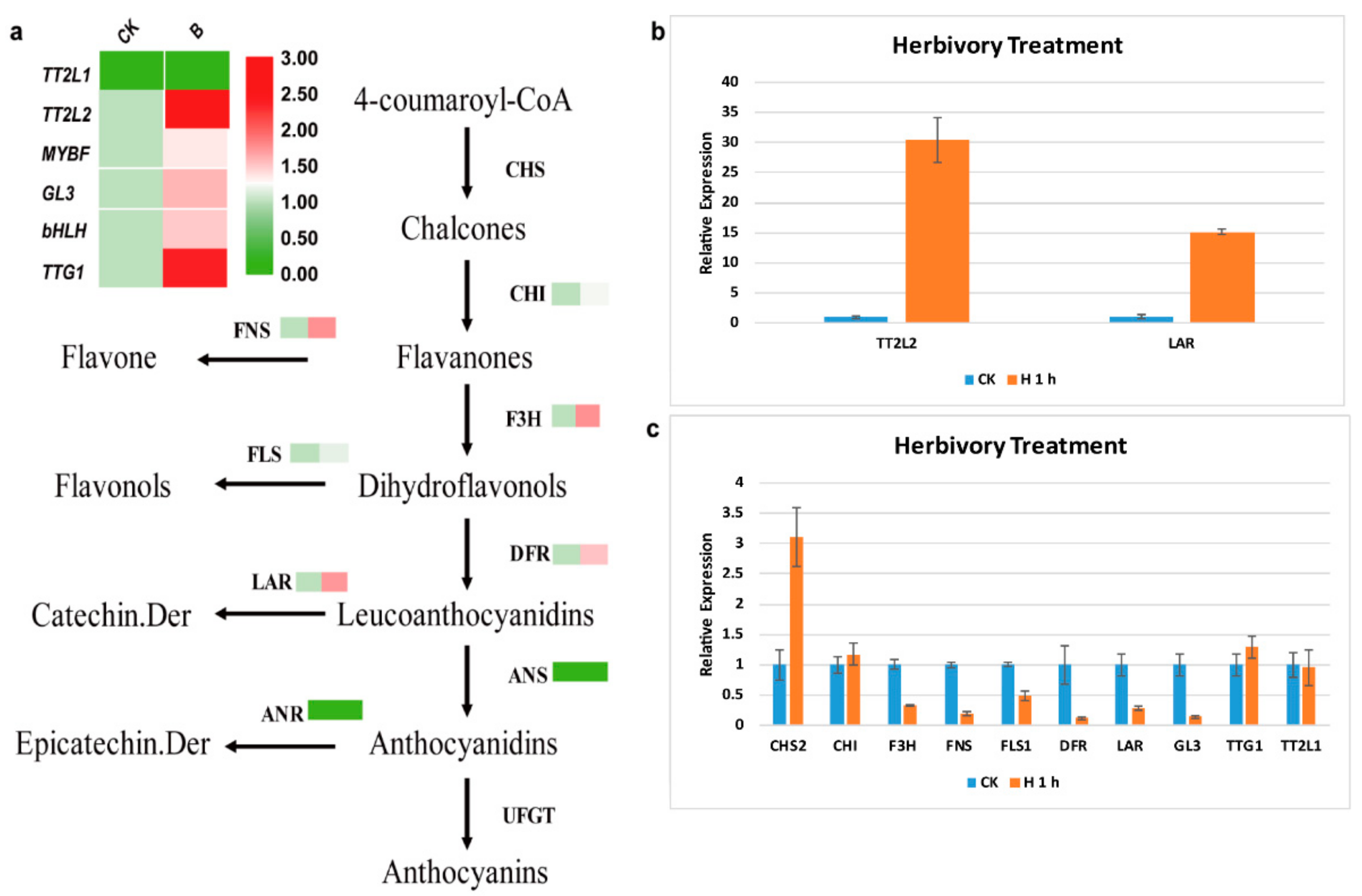 Ijms 23 01141 g008 550