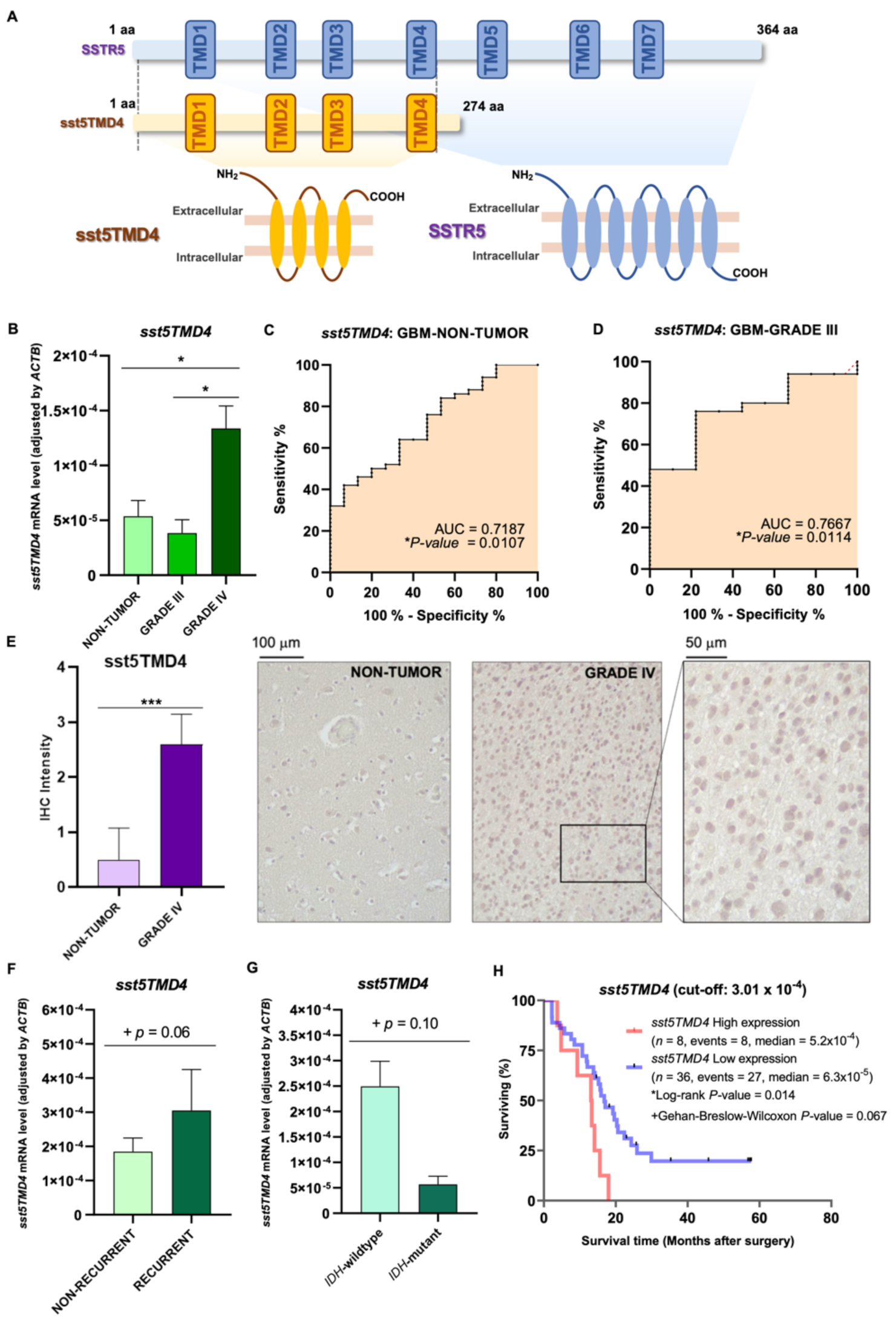 Ijms 23 01143 g001 550