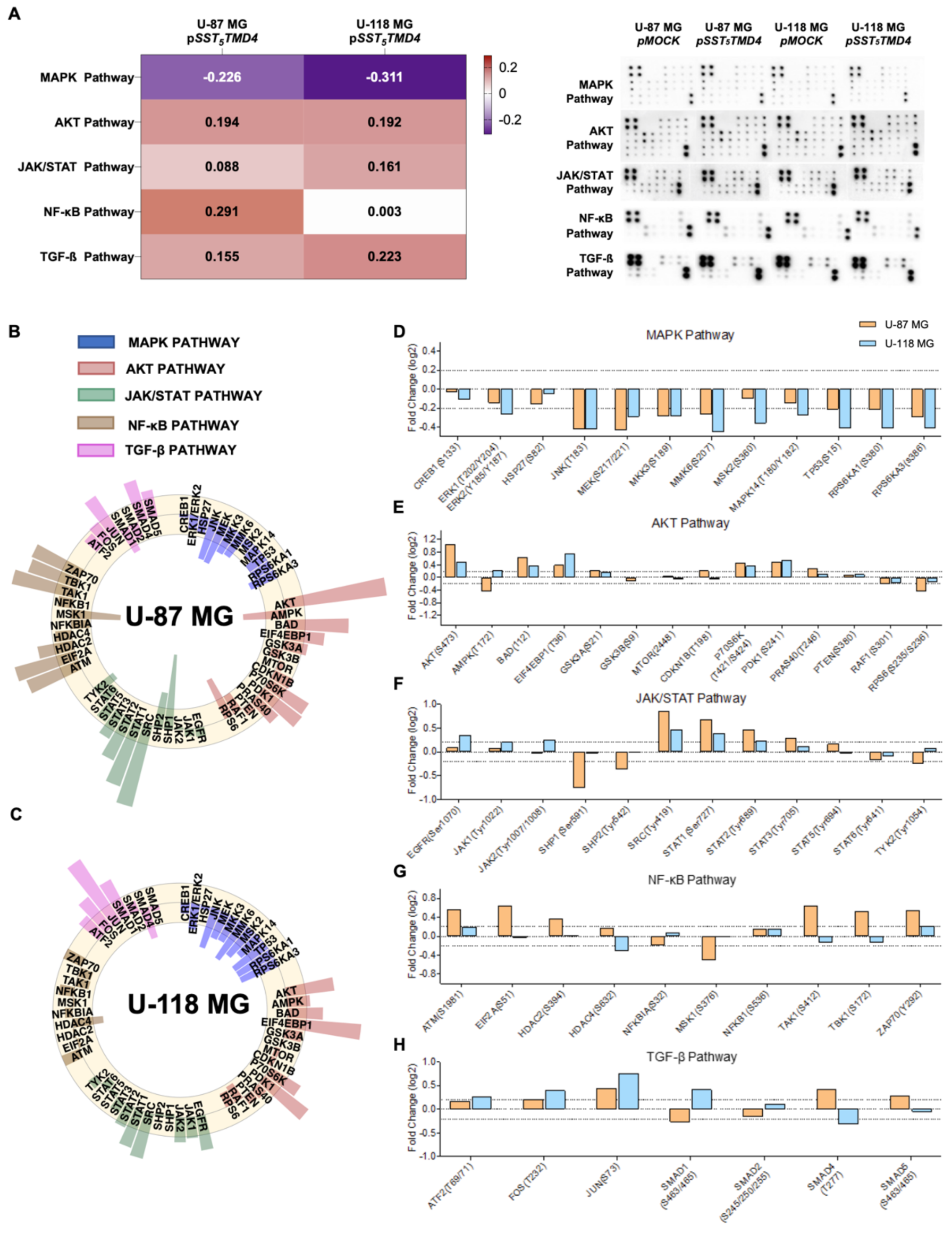 Ijms 23 01143 g003 550