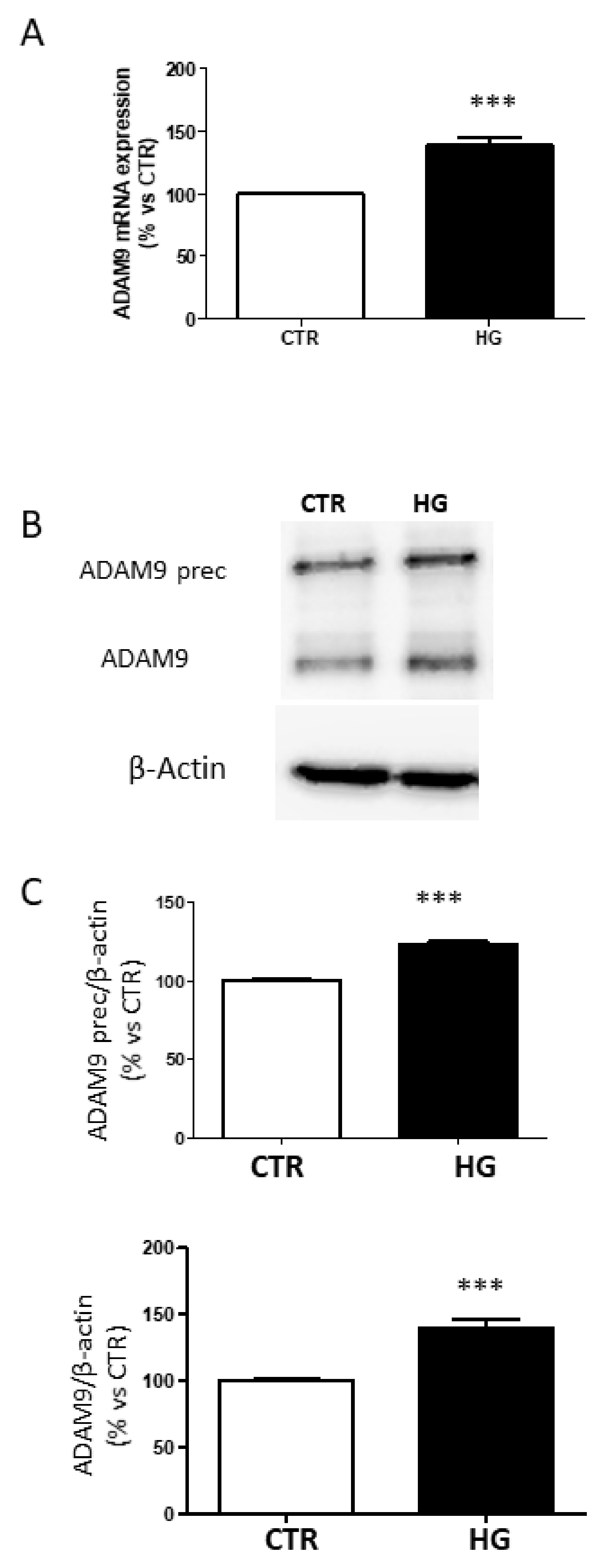 Ijms 23 01144 g004 550