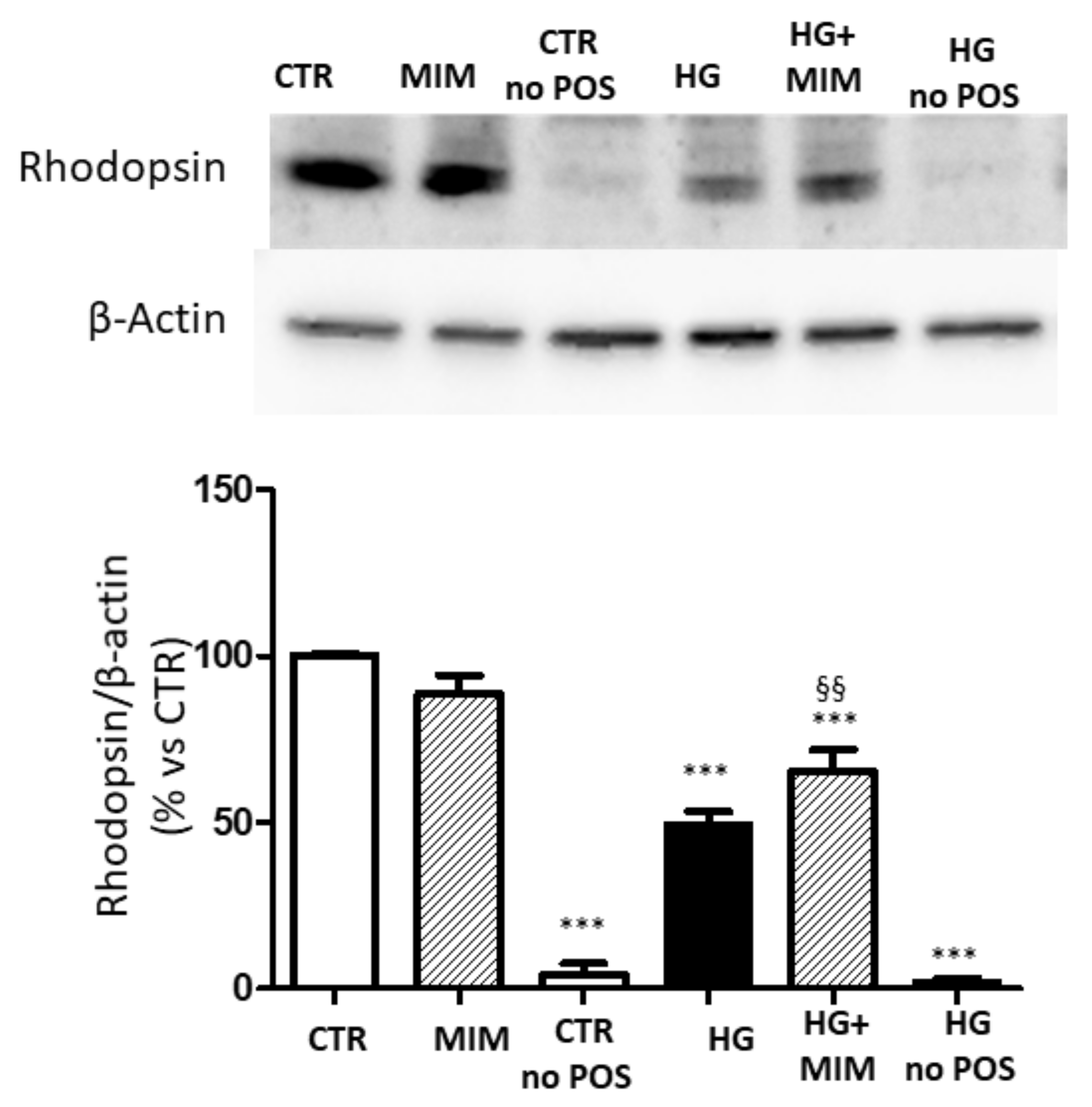 Ijms 23 01144 g008 550