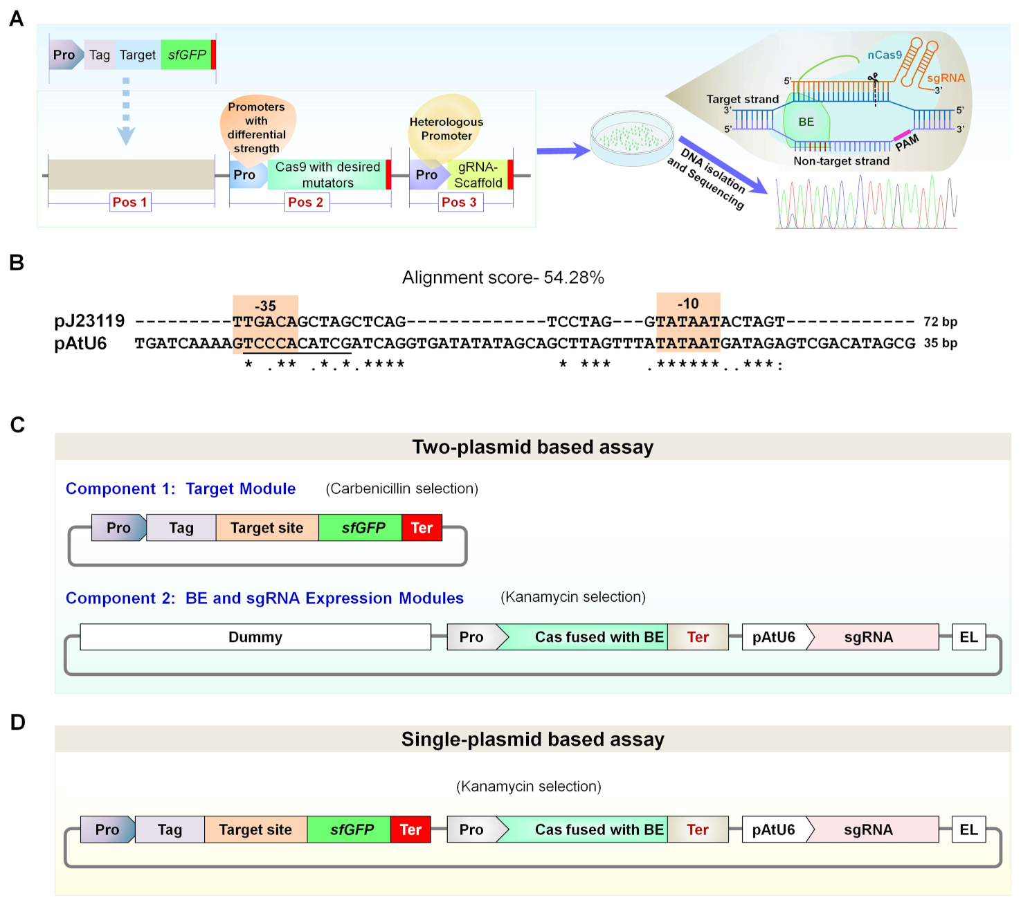 Ijms 23 01145 g001 550