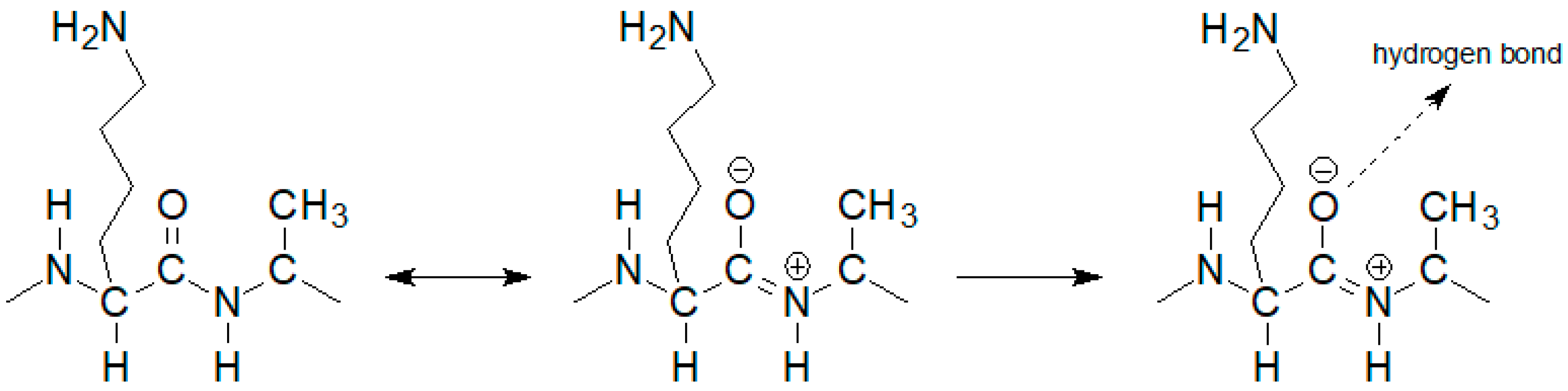 Ijms 23 01146 g004 Ijms 23 01146 g004