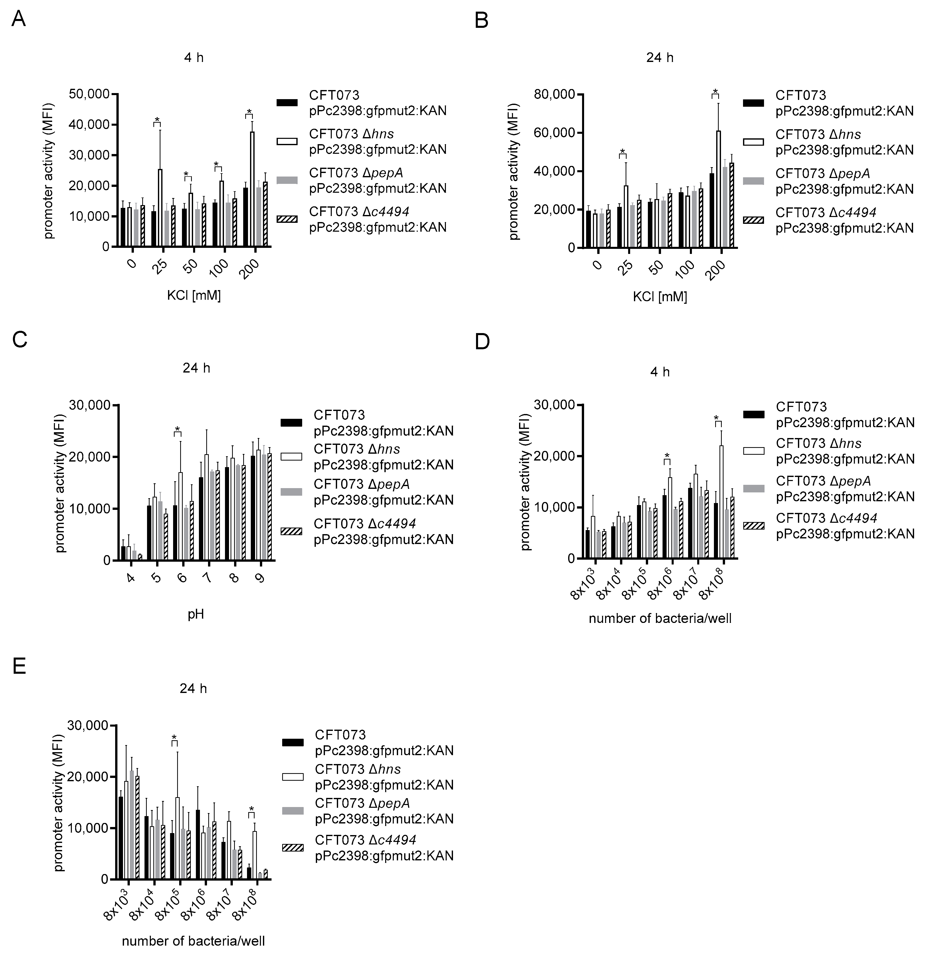 ygaU protein (Escherichia coli CFT073) - STRING interaction network